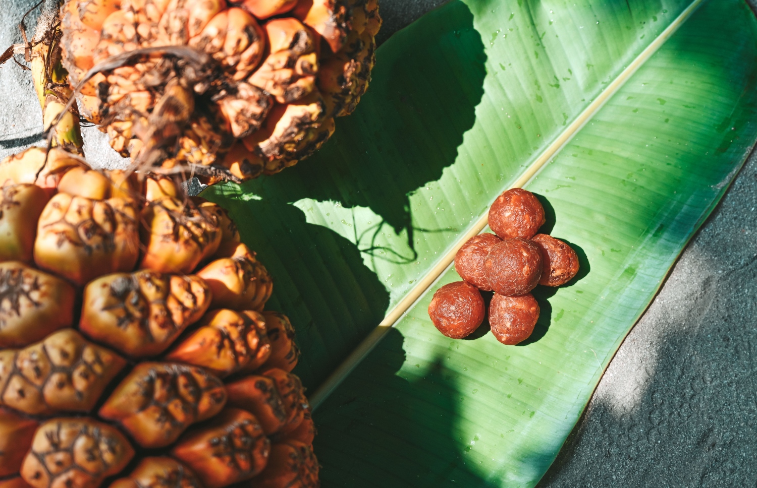 މުހައްމަދު ތައްޔާރުކުރާ ކަށިކޭލު ގުޅަ.-- ފޮޓޯ: ފަޔާޒް މޫސާ | މިހާރު