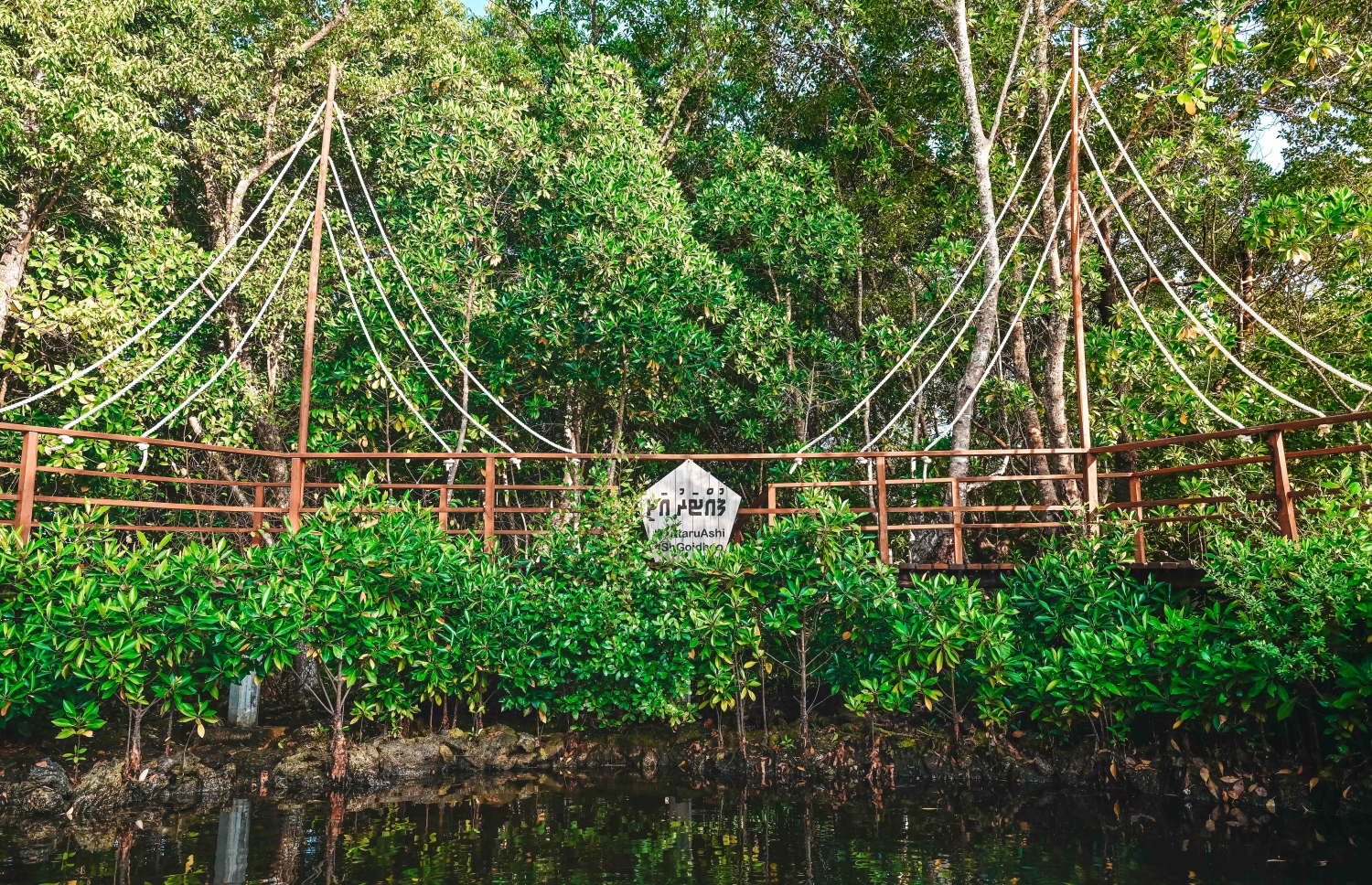ގޮއިދޫ ފުއްޓަރު ޕާކު: ގުދުރަތީ ރީތި ކަނޑޫފަލުގެ ތެރޭގައި ހަދާފައިވާ މި ޕާކު ވަރަށް ހިތްގައިމު. -- ފޮޓޯ: ފަޔާޒް މޫސާ | މިހާރު