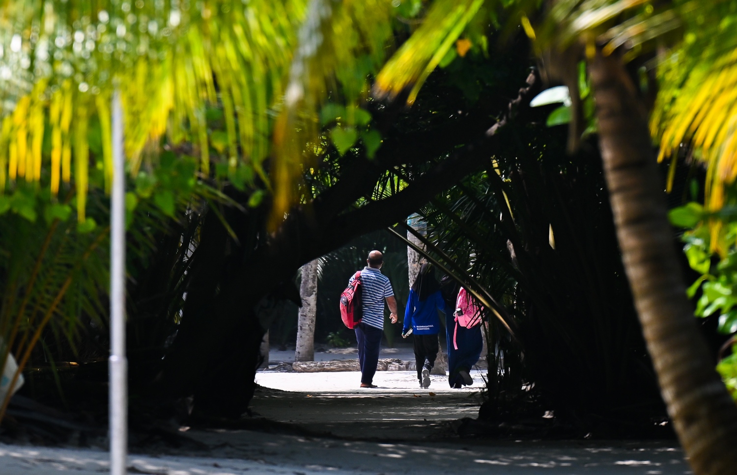 ށ. މަރޮށި: ސްކޫލް ދަރިވަރަކު ގޮވައިގެން ދެ މީހަކު ހިނގާފައި ދަނީ.-- ފޮޓޯ: ފަޔާޒް މޫސާ | މިހާރު