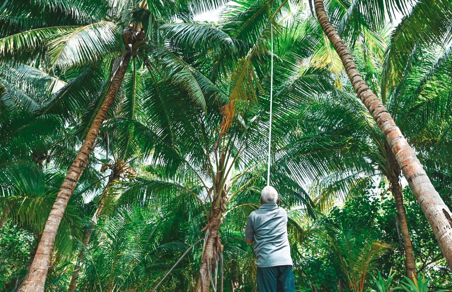 މަރޮށި: އާބާދީ އިތުރެއް ނުވޭ -- ފޮޓޯ: ފަޔާޒް މޫސާ/ މިހާރު