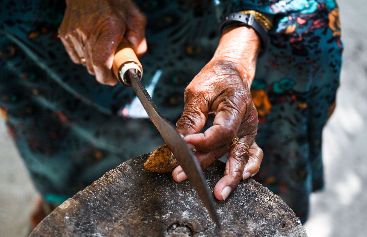 ށ. ޅައިމަގު، ރުގިއްޔާ އާދަމް މަދު ފަޅަނީ: މިއީ އޭނާ އާމްދަނީ ހޯދަން ކުރާ މަސައްކަތެއް.-- ފޮޓޯ: ފަޔާޒް މޫސާ | މިހާރު