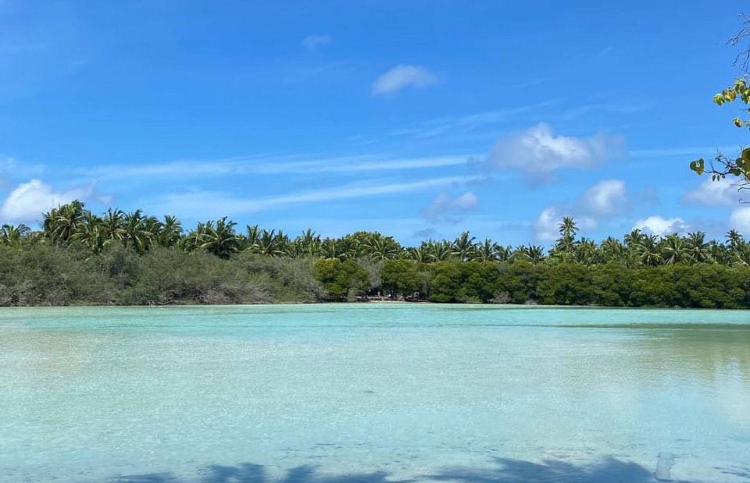 ށ. އަތޮޅަކީ މެހްމާންދާރީގައި ނަމޫނާ އަތޮޅެއް ކަމަށް ފުނަދޫ ކައުންސިލުން ބުނޭ.