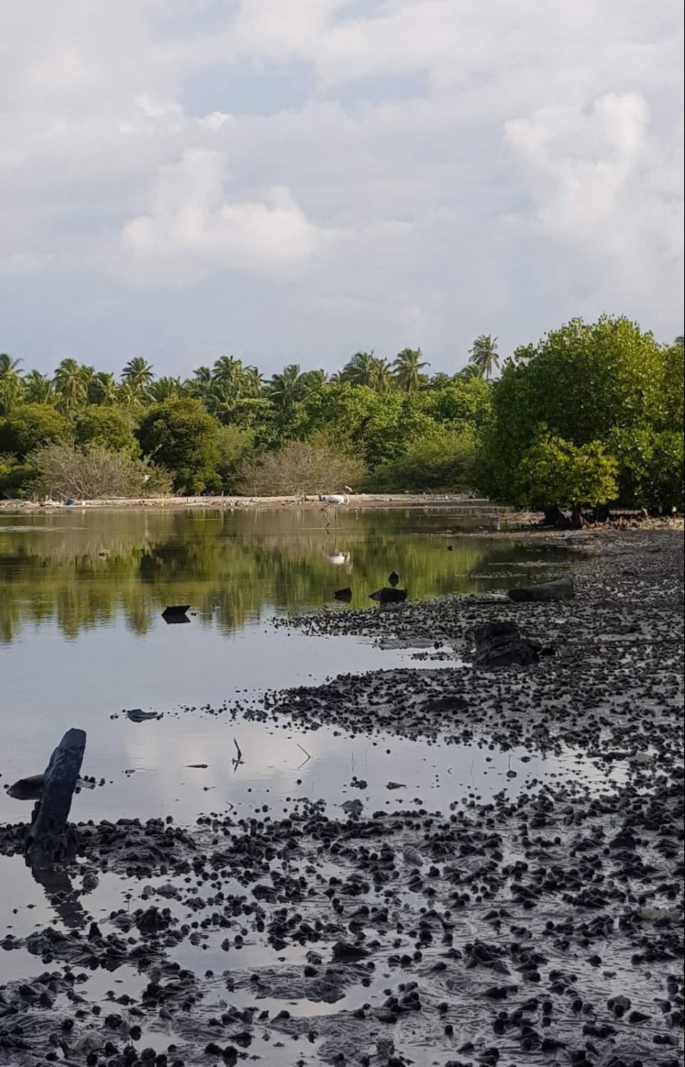 ދަށްފަޅު: ނޭޗާޕާކެއް ހަދައި ކަކުނި އާލާކުރުމުގެ ޕްލޭނެއް ކައުންސިލުން ގެންގުޅޭ.