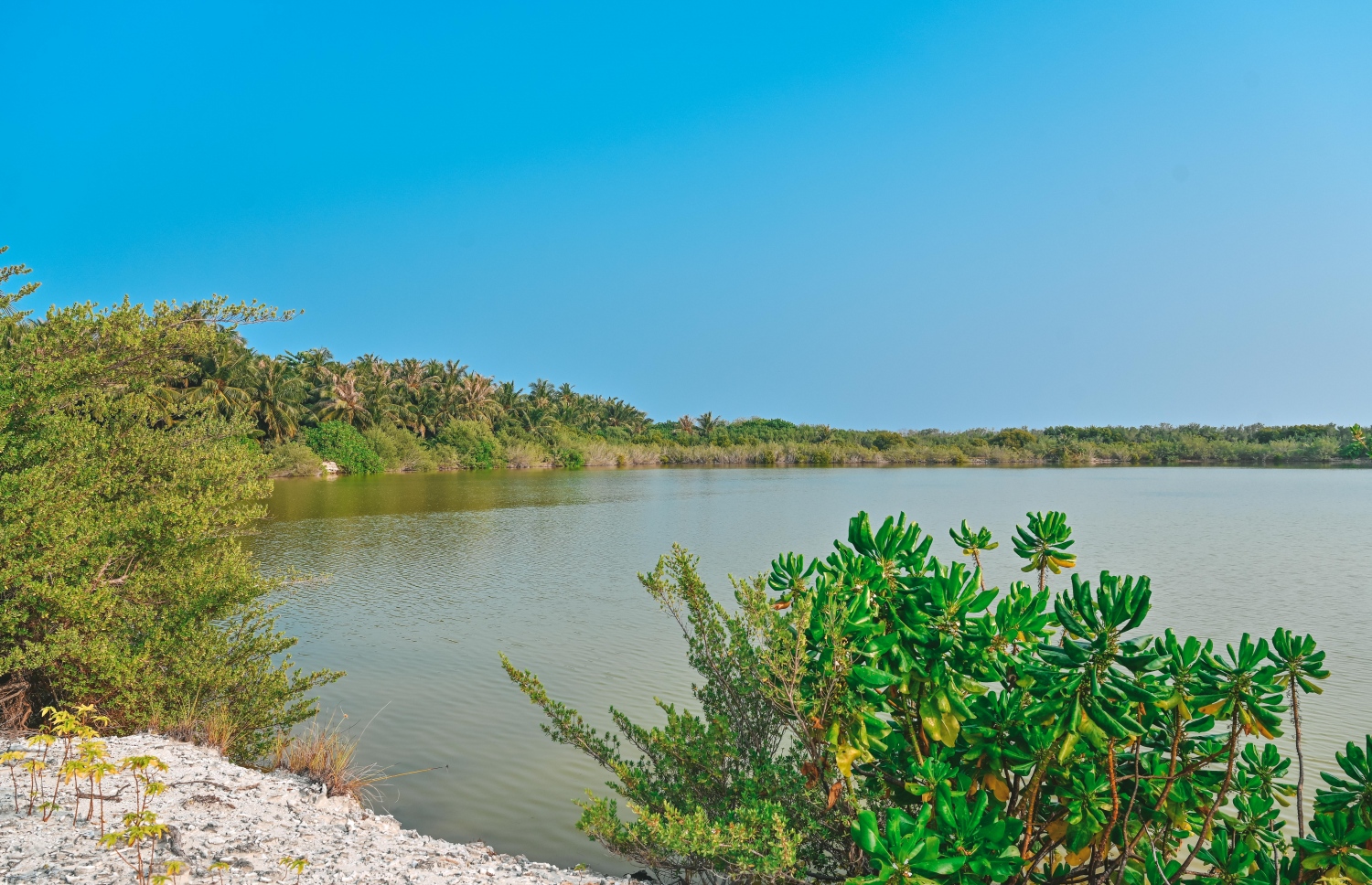 ށ. ނަލަންދޫގެ ދެކުނު ފަރާތުގައި އޮންނަ ކުޅި.-- ފޮޓޯ: ފަޔާޒް މޫސާ | މިހާރު