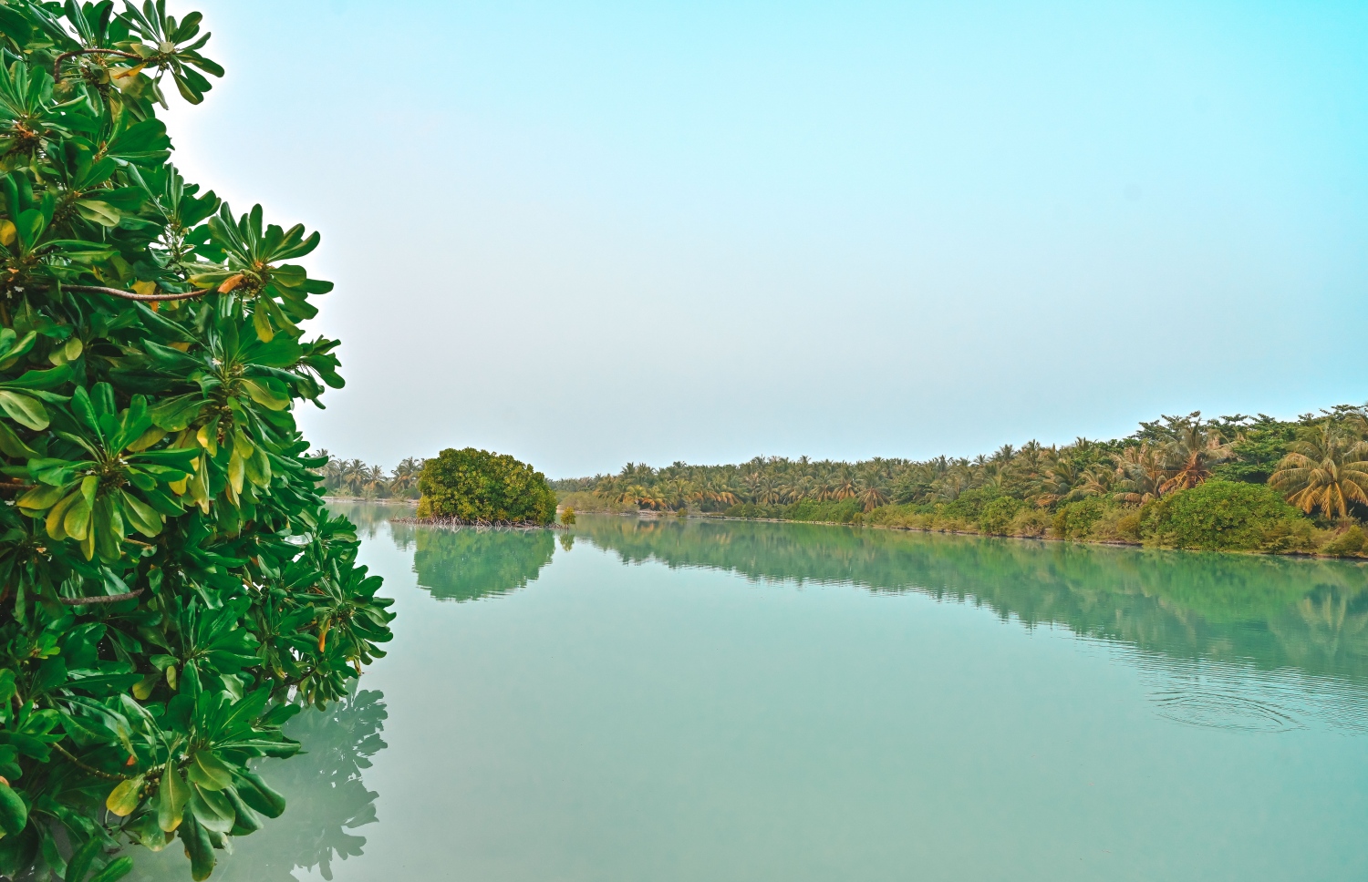 ށ. ނަލަންދޫގެ ރީތި ވިލު: މި ވިލުގެ ވަށައިގެން ވަނީ ބޯކޮށް ހެދިފައިވާ ގަސްތައް.-- ފޮޓޯ: ފަޔާޒް މޫސާ | މިހާރު