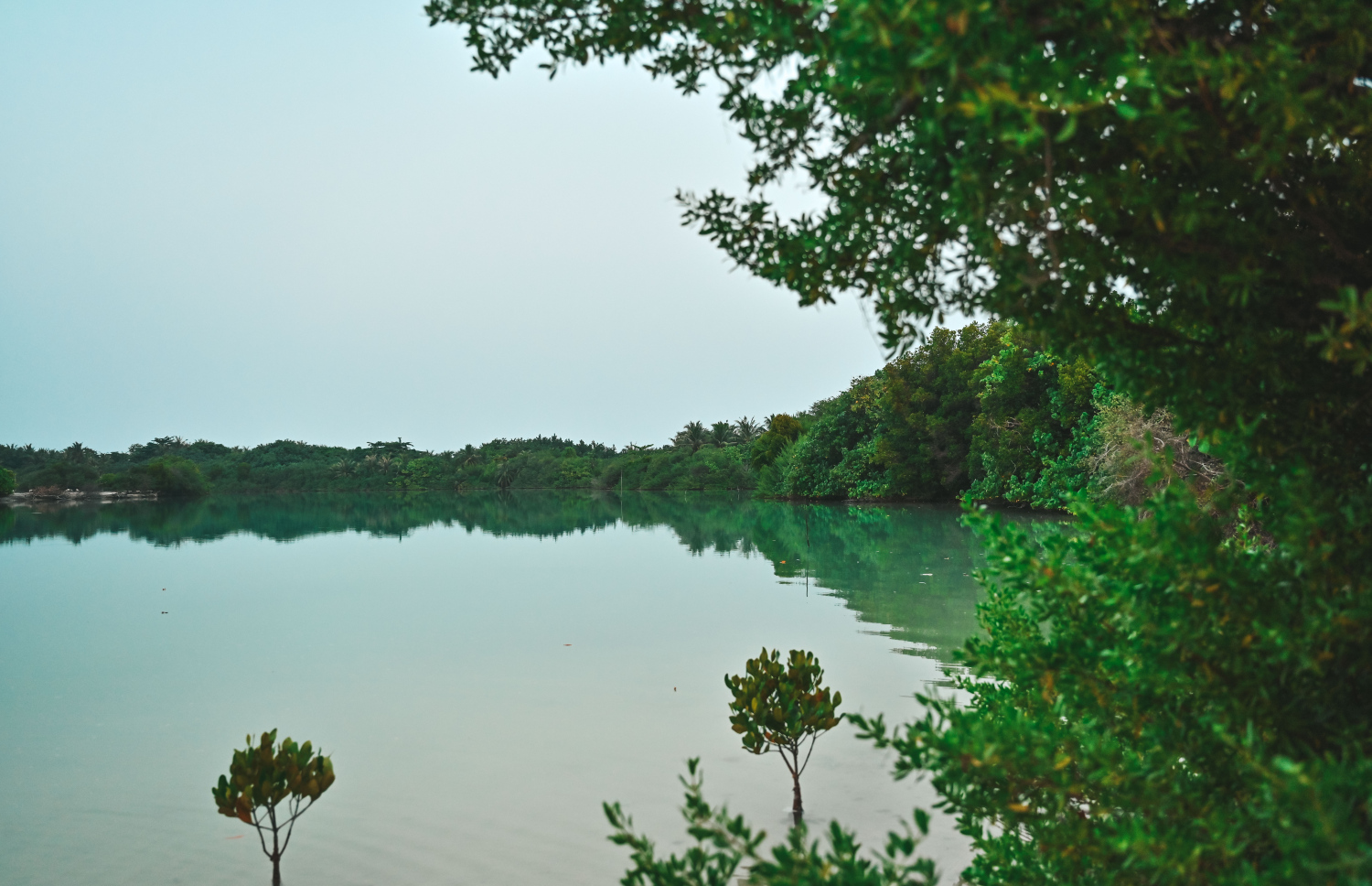 ށ. ނަލަންދޫގެ ކުޅިއެއް: އެ ރަށުގައި ރިސޯޓެއް ހަދާނެ ބަޔަކު ހޯދަން ތިންވަނަ ފަހަރަށް މިހާރު ވަނީ އިއުލާންކޮށްފައި.-- ފޮޓޯ: ފަޔާޒް މޫސާ | މިހާރު