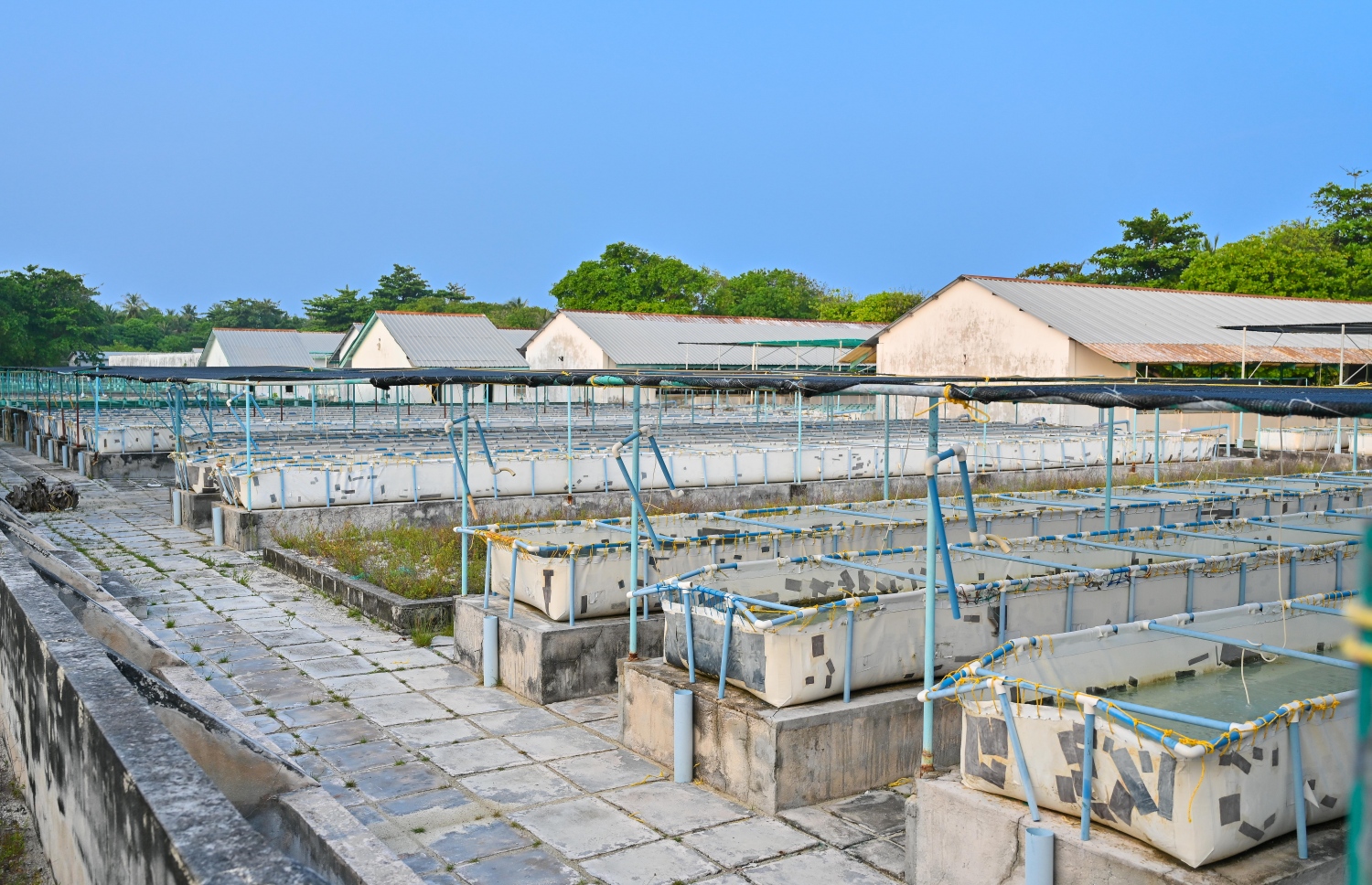 ށ. ނިލަންދޫގެ ހެޗަރީ: ހުއިފިލަނޑާ އާލާކުރުމަށް ބޭނުންވާ ހުރިހާ އިންފްރާސްޓްރަކްޗާއެއް މި ރަށުގައި ވަނީ ގާއިމްކޮށްފައި.-- ފޮޓޯ: ފަޔާޒް މޫސާ | މިހާރު