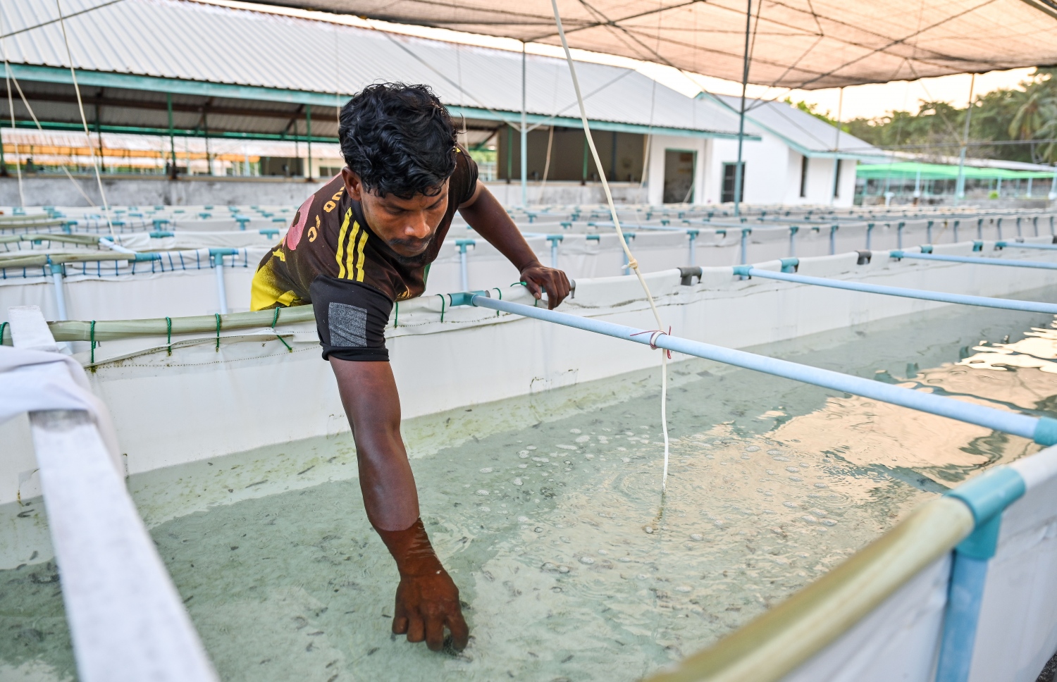 ށ. ނަލަންދޫގެ ހެޗަރީގައި ހުއިފިލަނޑާ އަލާކުރުމުގެ މަސައްކަތް ކުރަނީ.-- ފޮޓޯ: ފަޔާޒް މޫސާ | މިހާރު