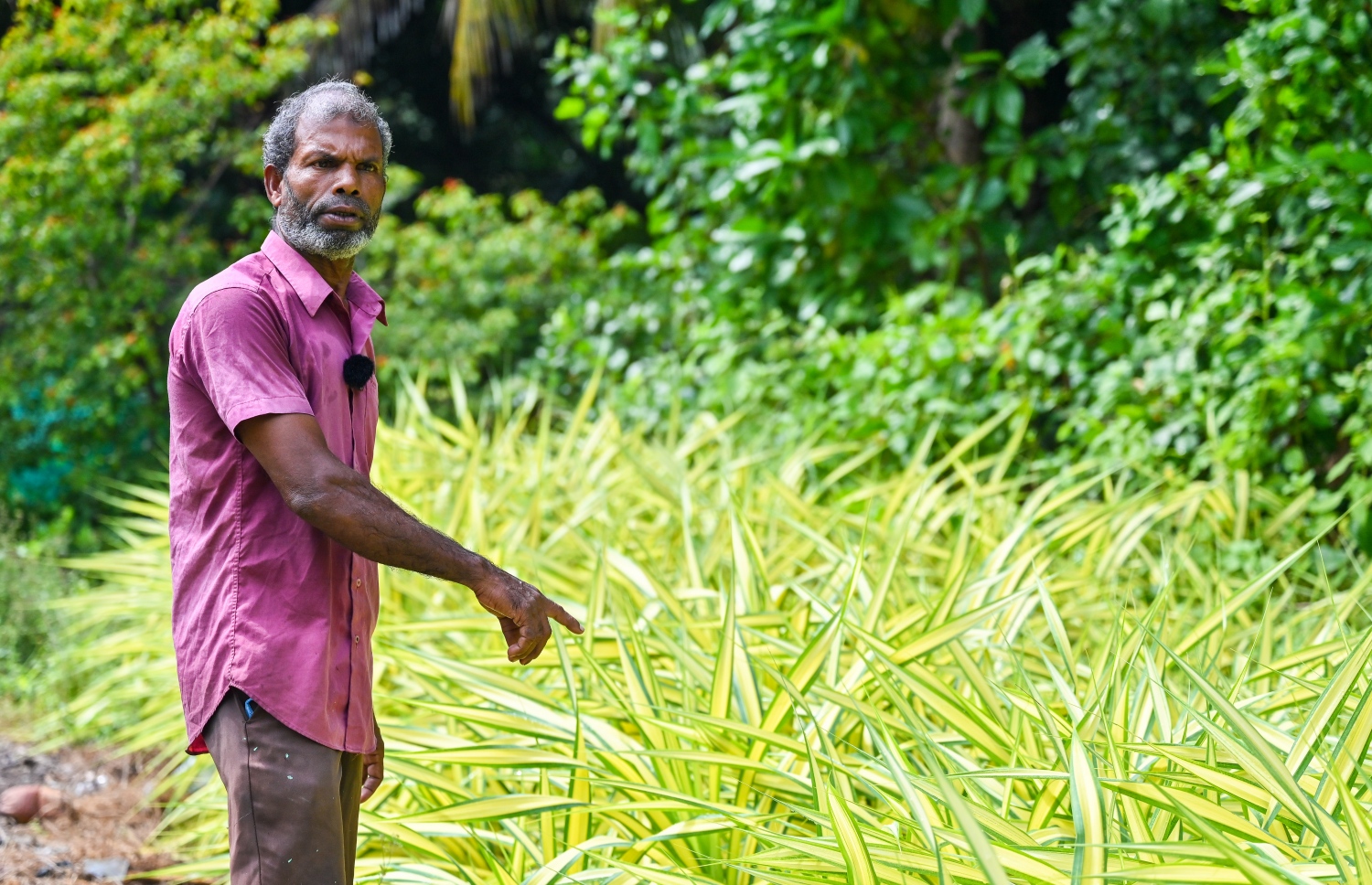 ށ. ފީވަކު، އަބްދުއްރަހްމާން ހަސަން "މިހާރު" އަށް އިންޓަވިއު ދެނީ: އޭނާ އާމްދަނީ ހޯދަނީ މާ ގަހާއި ބަގީޗާ ގަސް ވިއްކައިގެން.-- ފޮޓޯ: ފަޔާޒް މޫސާ | މިހާރު