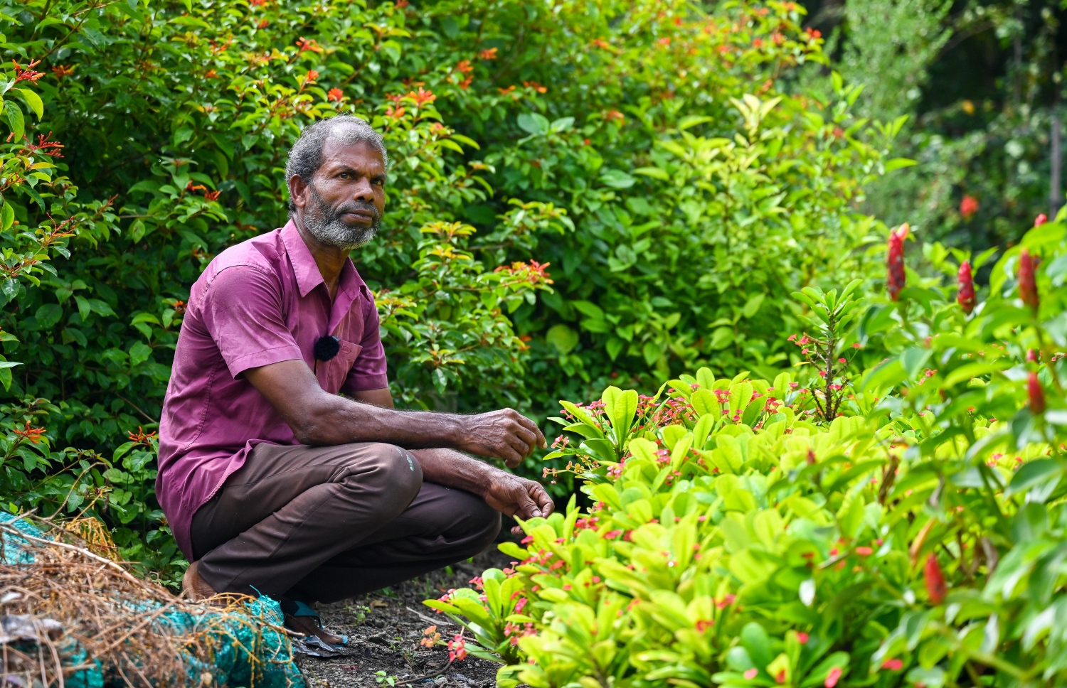 ށ. ފީވަކު، އަބްދުއްރަހްމާން ހަސަން "މިހާރު" އަށް އިންޓަވިއު ދެނީ: އޭނާ އާމްދަނީ ހޯދަނީ މާ ގަހާއި ބަގީޗާ ގަސް ވިއްކައިގެން.-- ފޮޓޯ: ފަޔާޒް މޫސާ | މިހާރު