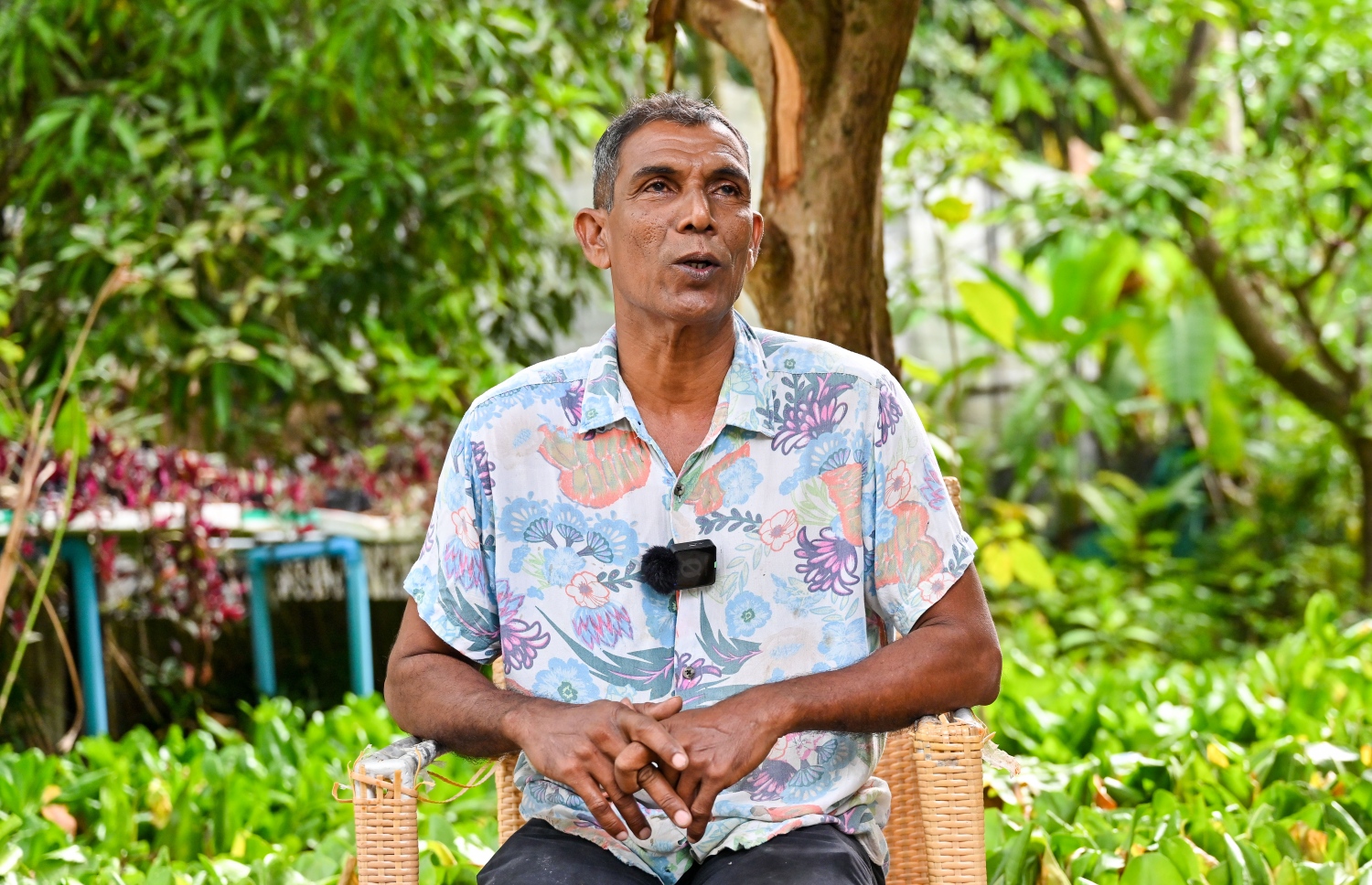 ށ. ފީވަކުގައި މަގޫ ގަސް ހައްދައިގެން އޭގެ ވިޔަފާރިކުރާ އަދުނާން އަލީ "މިހާރު" އަށް އިންޓަވިއު ދެނީ.-- ފޮޓޯ: ފަޔާޒް މޫސާ | މިހާރު