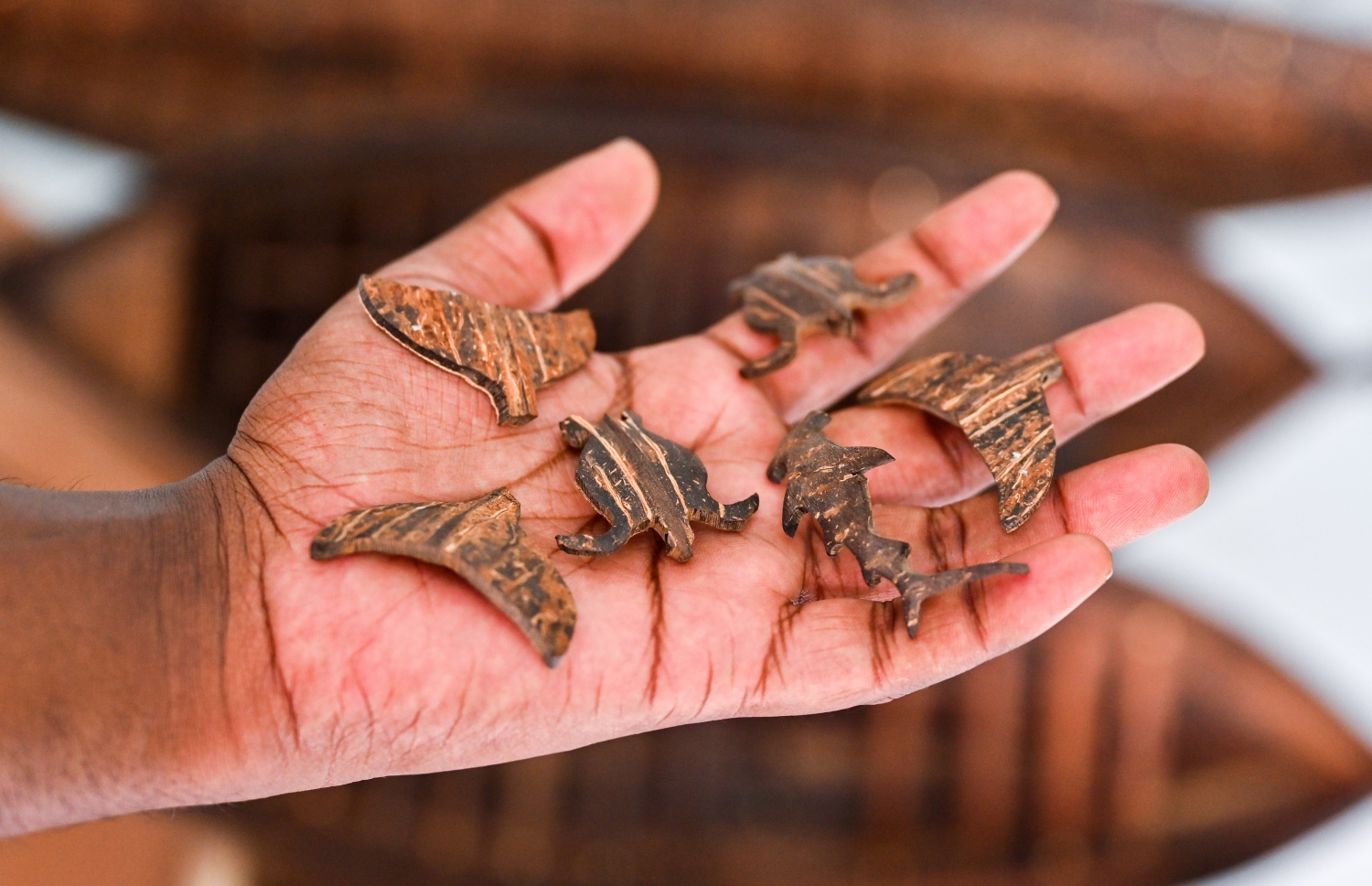 ނާށިން ހަދާފައި ހުރި ބައެއް ތަކެތި ވަސީމް ދައްކާލަނީ: ލަކުޑިންނާއި ނާށިން ވެސް އެ އެއްޗެހި ހަދަ އެވެ. ވިއްކަން ތައްޔާރުކޮށްފައި މިޔަރާއި ކޯމަހާއި މަޑި ފަދަ ގިނަ ތަކެތި ވެސް އޭނާގެ އަތުގައި ހުއްޓެވެ. މިތަކެތި 5 ޑޮލަރާއި 10 ޑޮލަރާ ދޭތެރޭގައި ވިކޭ ކަމަށް ވަސީމް ބުންޏެވެ.