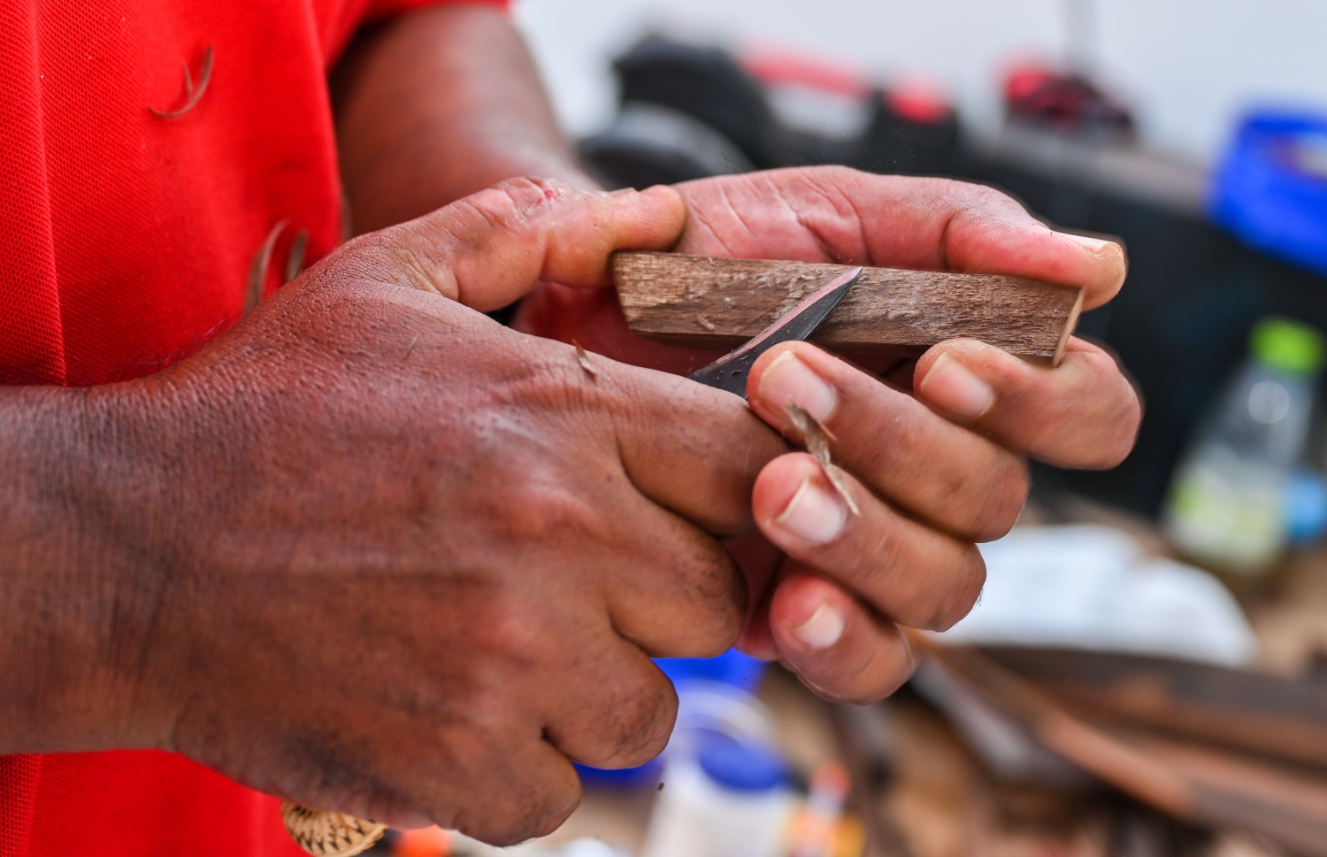 ކާނިއާރުން އޭނާ ބޭނުންވާ ބައްޓަން ހެޔޮވަރުވަންދެން ކޮށާލަކޮށާލައި އިނދެދާނެ އެވެ. އޭގެއިން އަތް ދޫކޮށްލާނީ ވަސީމް ބުނި ގޮތުގައި ރީތި ކުދި ދޯންޏެއް ހެދުމުންނެވެ.