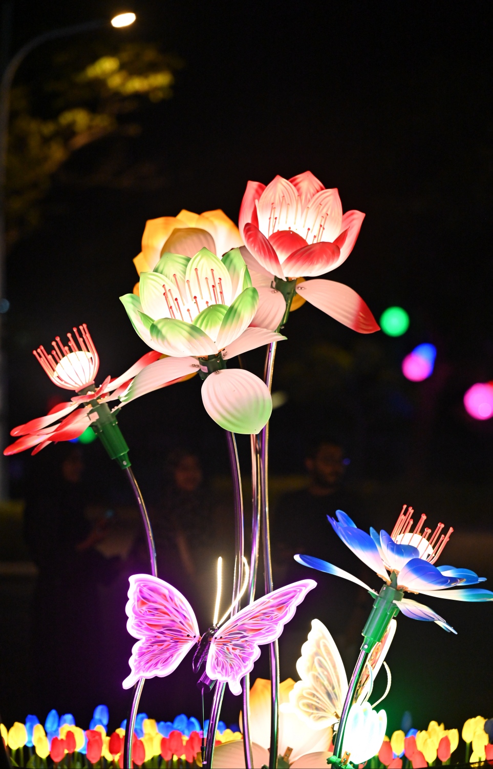 ފިތުރު އީދަށް ހުޅުމާލޭގެ އެކި ސަރަހައްދުތައް ކުލަ ބޮކިތަކާއި ޑިޒައިންތަކުން ޒީނަތްތެރިކޮށްފައި. މި މާތަކާއި ކޮކާތައް ހަރަކާތްކުރާ ގޮތަށް ހަދާފައި ހުރި މިއީ އެންމެ ތަފާތުކޮށް ފެންނަ އެއް ދިއްލުން. -- ފޮޓޯ: ނިޝާން އަލީ | މިހާރު