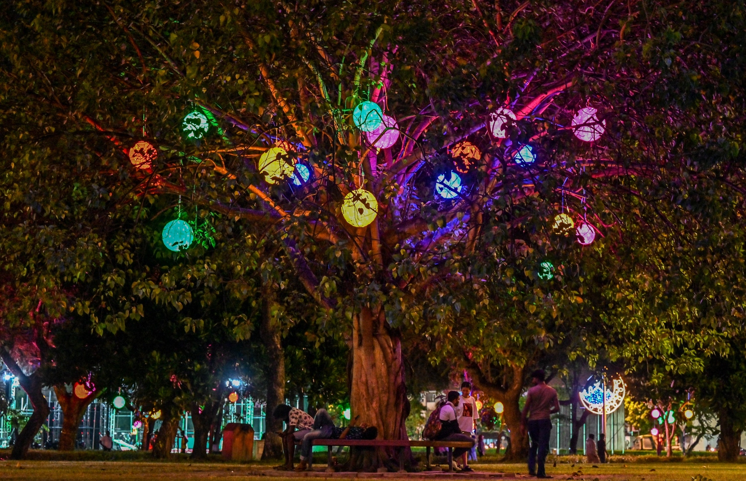 ފިތުރު އީދަށް ހުޅުމާލޭގެ އެކި ސަރަހައްދުތައް ކުލަ ބޮކިތަކާއި ޑިޒައިންތަކުން ޒީނަތްތެރިކޮށްފައި ވާއިރު ހުޅުމާލެ ސެންޓްރަލް ޕާކް ތެރޭ ހުރި ގަހެއްގައި އެކި ކުލަތަކުގެ ބޮކި އެލުވާފައި. -- ފޮޓޯ: ނިޝާން އަލީ | މިހާރު