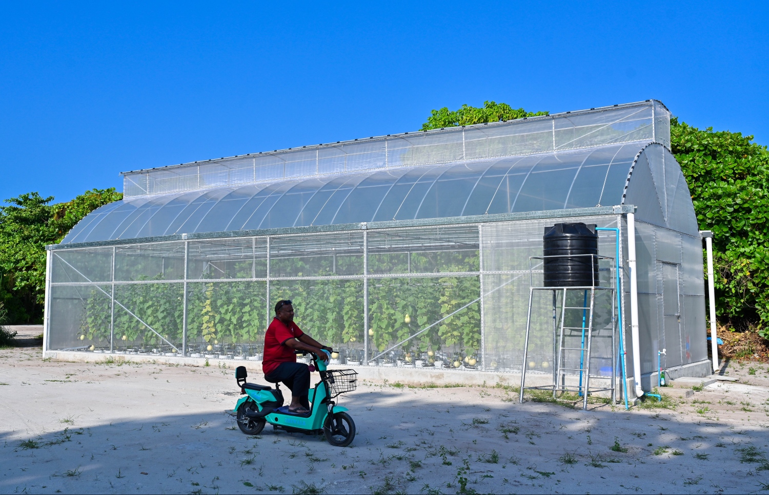 ށ. ގޮއިދޫގައި ހުންނަ ގްރީން ހައުސް.-- ފޮޓޯ: ފަޔާޒް މޫސާ | މިހާރު