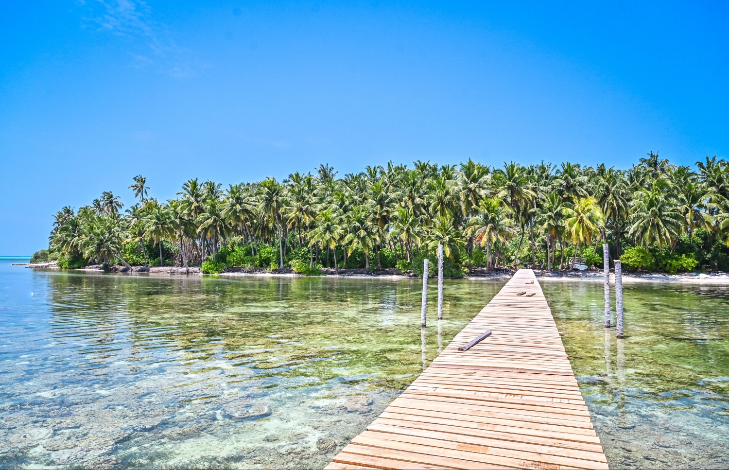 ކިނބިދޫއާ ކުޑަދޫ ގުޅުވާލައި ހެދި ފާލަން.-- ފޮޓޯ: ފަޔާޒު މޫސާ/ މިހާރު