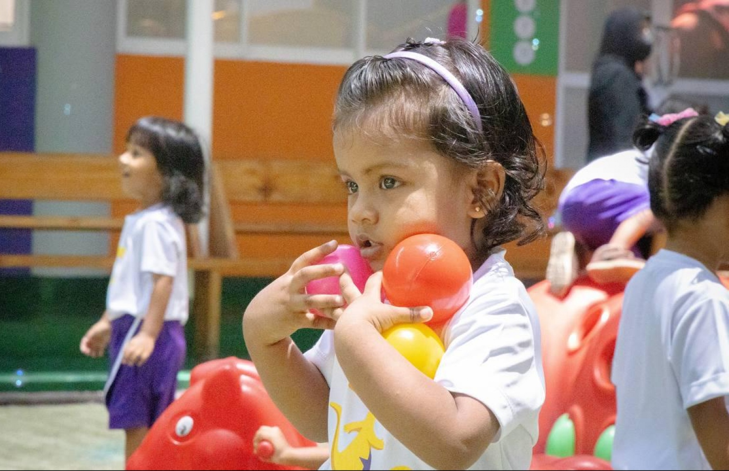 ކެންގަރޫ ކިޑްސްގެ ދަރިވަރެއް.