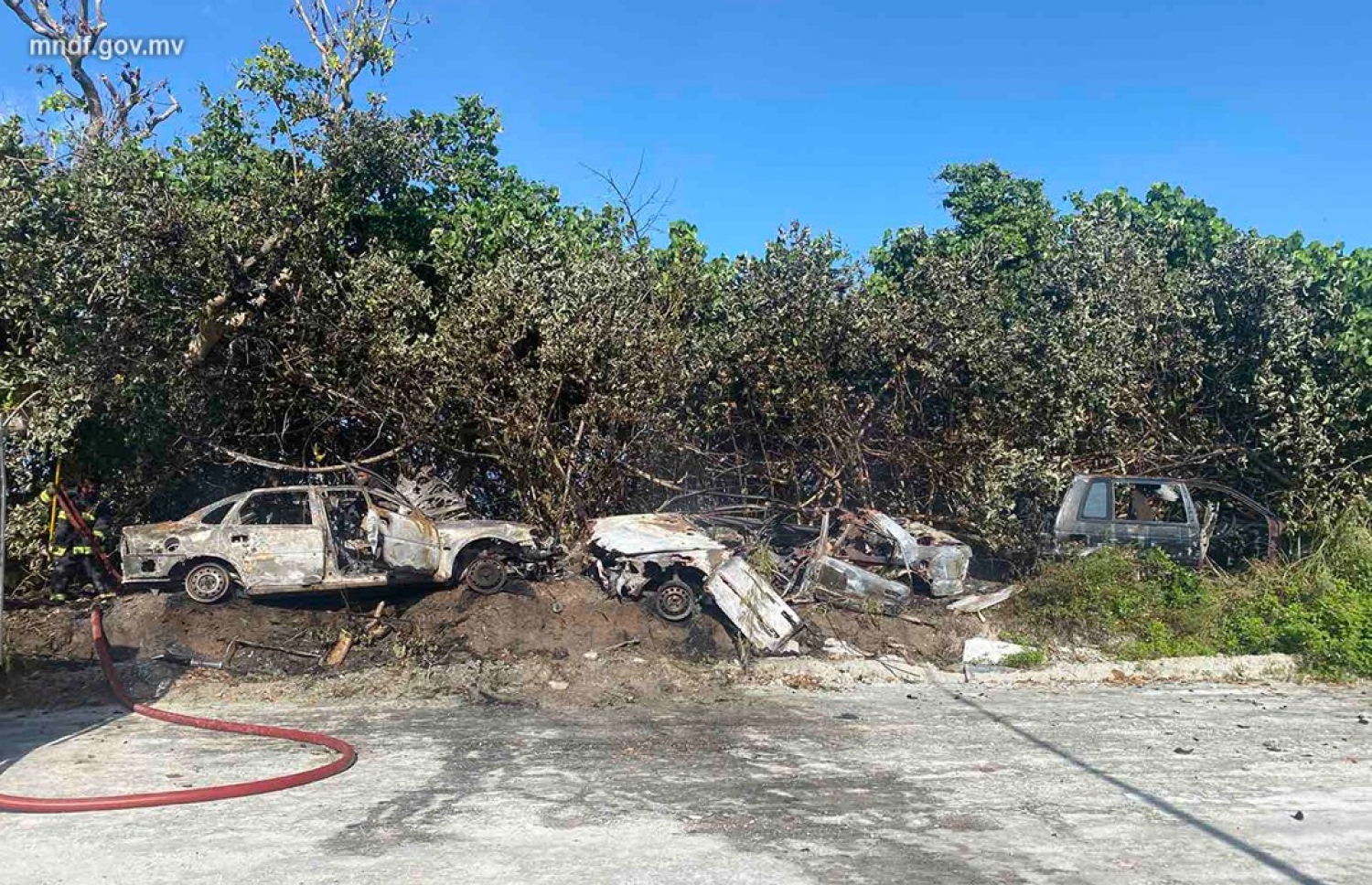 އައްޑޫ މަގެއްގައި ހުރި ކާރުތަކެއްގައި ރޯވި އަލިފާންގަނޑު ނިއްވާލާފައި.--