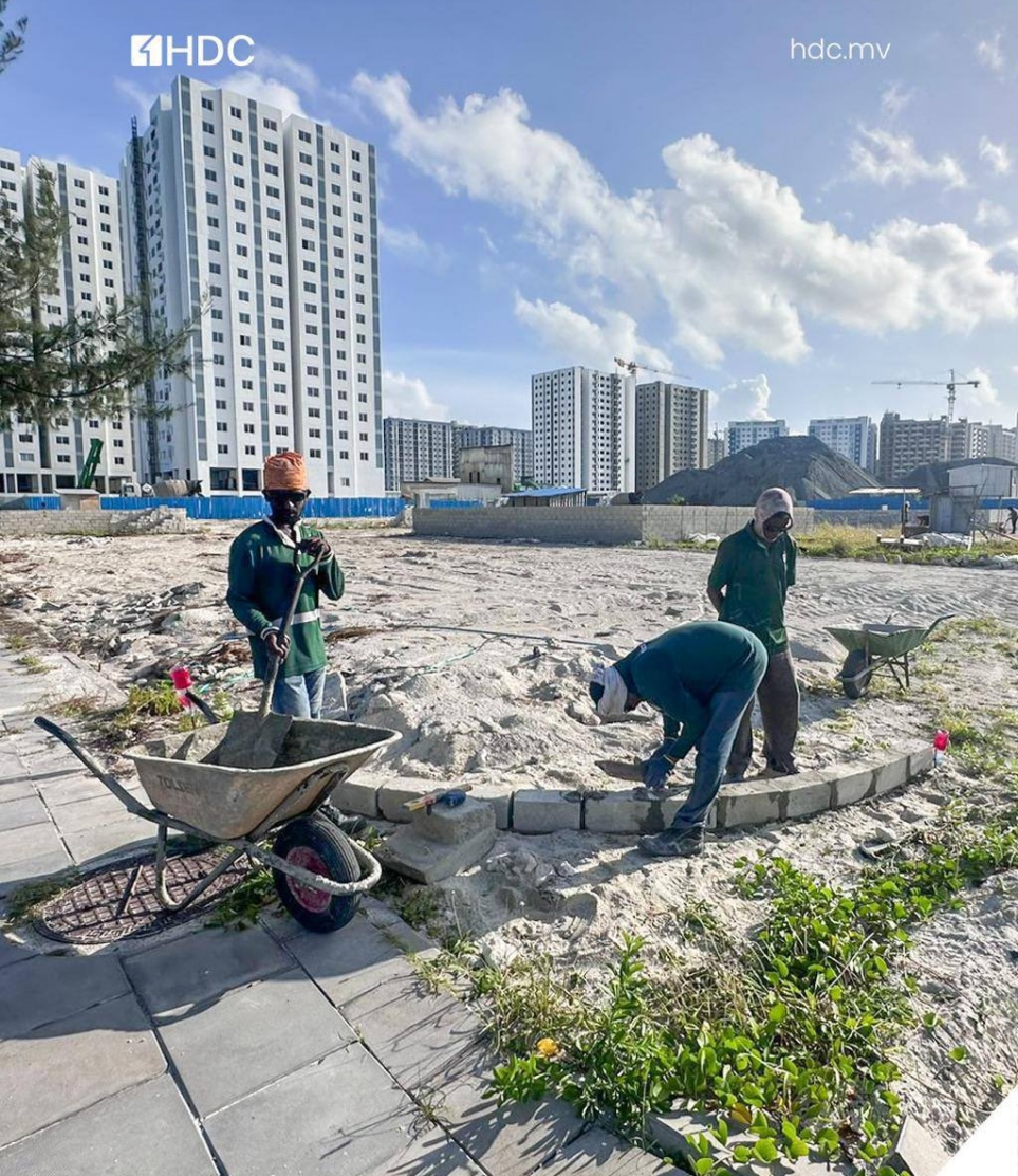 ހުޅުމާލެއިން ދޫކޮށްފައިވާ ބިންތަކުގައި ކަންމުޑި ޖަހައިފައި.-- ފޮޓޯ: އެޗްޑީސީ