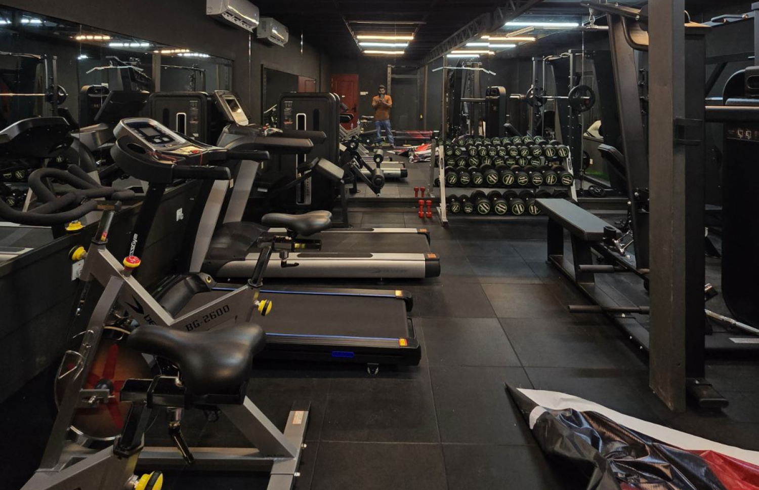 ވެޔޮ ރެސްޓޯރެންޓު ތެރޭގައި ހިންގާ ޖިމް.