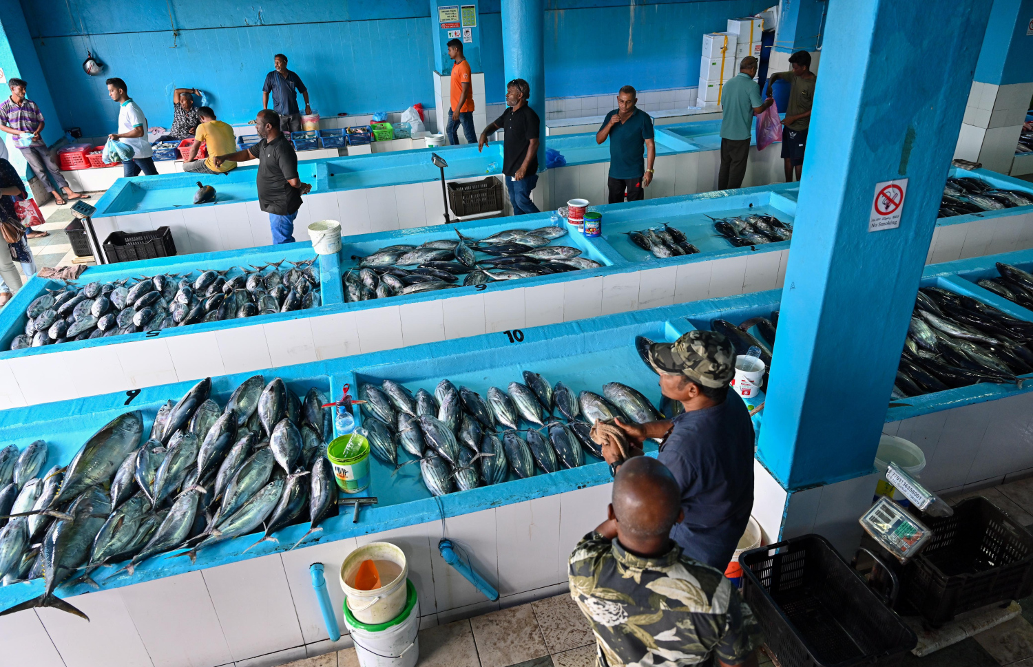 މާލޭ މަސްމާރުކޭޓުގައި މަސް ވިއްކަނީ: މަސްވެރިކަން އަނެއްކާވެސް ރަނގަޅުވާން ވަނީ ފަށައިފައި.-- ފޮޓޯ: ނިޝާން އަލީ | މިހާރު