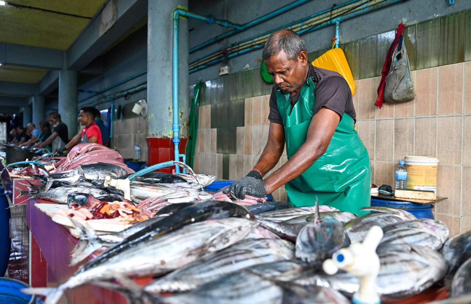 މާލޭ މަސްމާރުކޭޓުގައި މީހަކު މަސް ކަނޑަނީ.-- ފޮޓޯ: ނިޝާން އަލީ | މިހާރު