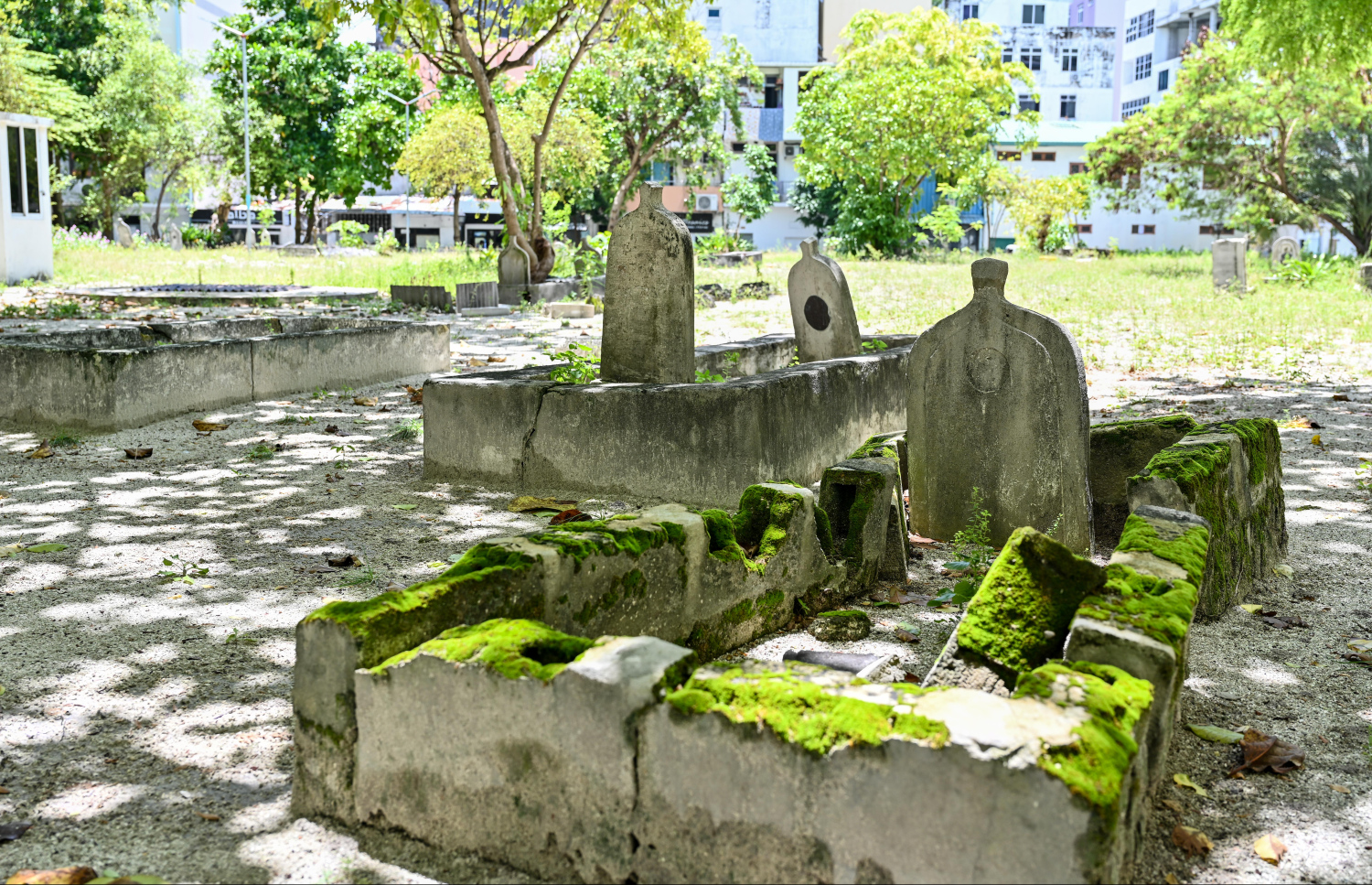 މާފަންނު ސަހަރާ: އެ ސަހަރާގައި ހުރި ގަބުރުތައް ނަގައި އެތަން އެއްކޮށް ހުސްކޮށްދޭނެ ބަޔަކު ހޯދަން ވަނީ އިއުލާންކޮށްފައި.-- ފޮޓޯ: ފަޔާޒް މޫސާ | މިހާރު