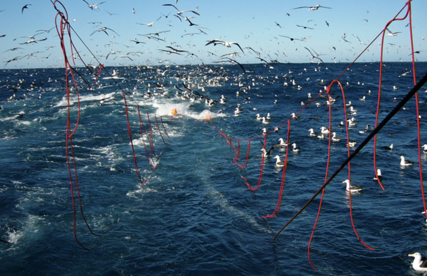 މަސްވެރިކަން ކުރަން ލޭނު އަޅާފައި: ލޭނު މަސްވެރިކަމުގެ ސަބަބުން ރާއްޖޭގެ ތިމާވެއްޓަށް ބޮޑު ގެއްލުމެއް ލިބޭނެ ކަމަށް ޖަމިއްޔާތަކުން ބުނި