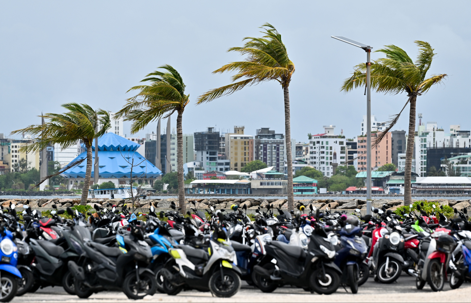 ވިއްސާރަ ދުވަހެއް -- ފޮޓޯ: މިހާރު