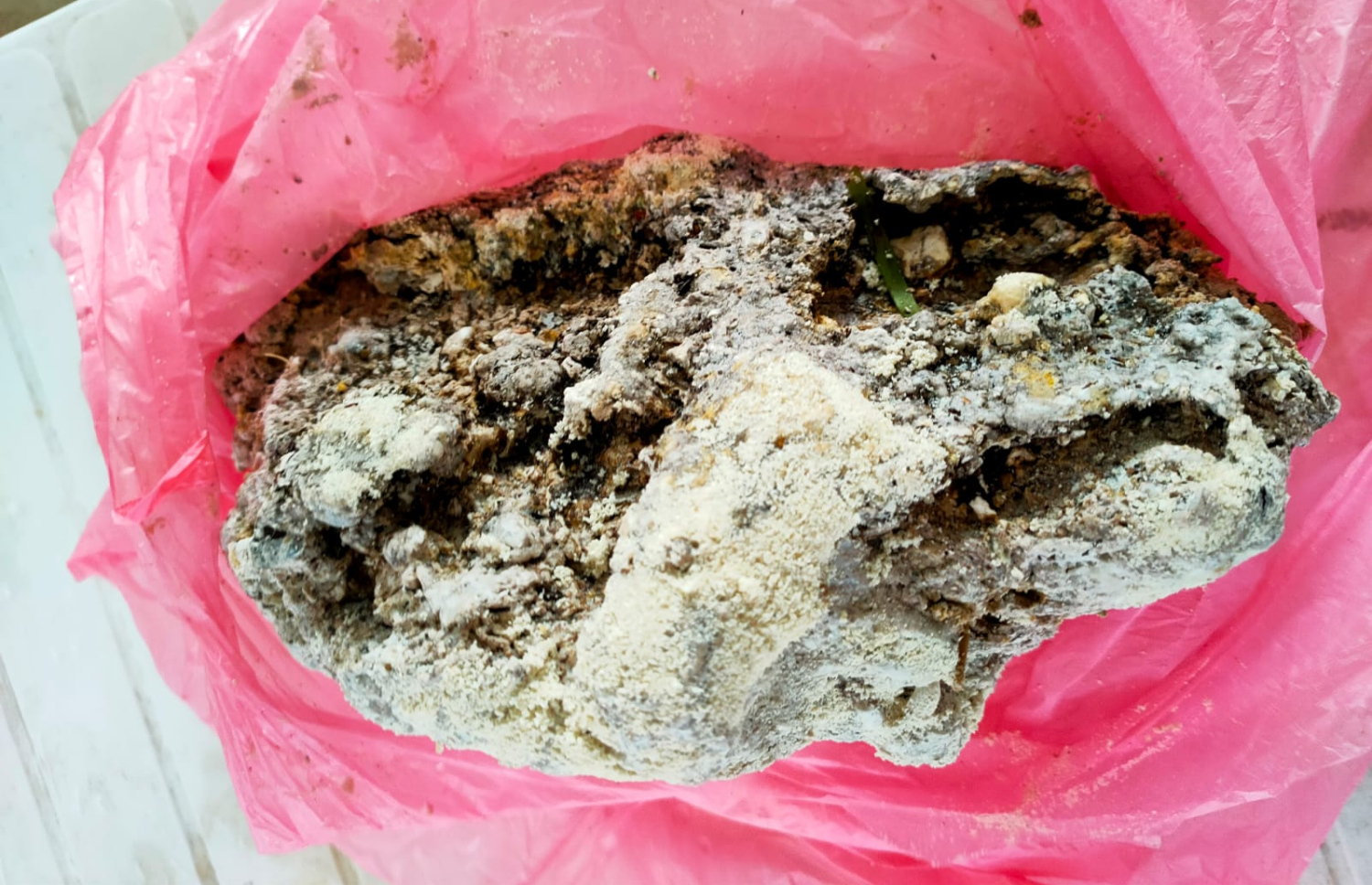 އާސިމް ހޮވި ހުދުމާވަހަރު ނުވަތަ ހުދަންބަރު.