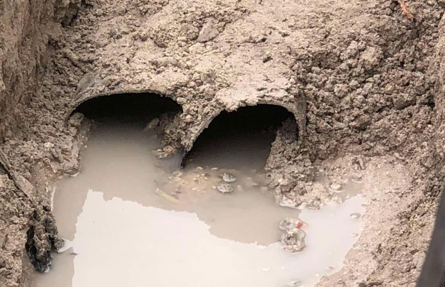 އައްޑޫގެ މަގުތަކުގައި އަޅާފައިވާ ހޮޅިތައް ފިތޭތީ އަލުން މަގު ކޮނެގެން ހަދަނީ.