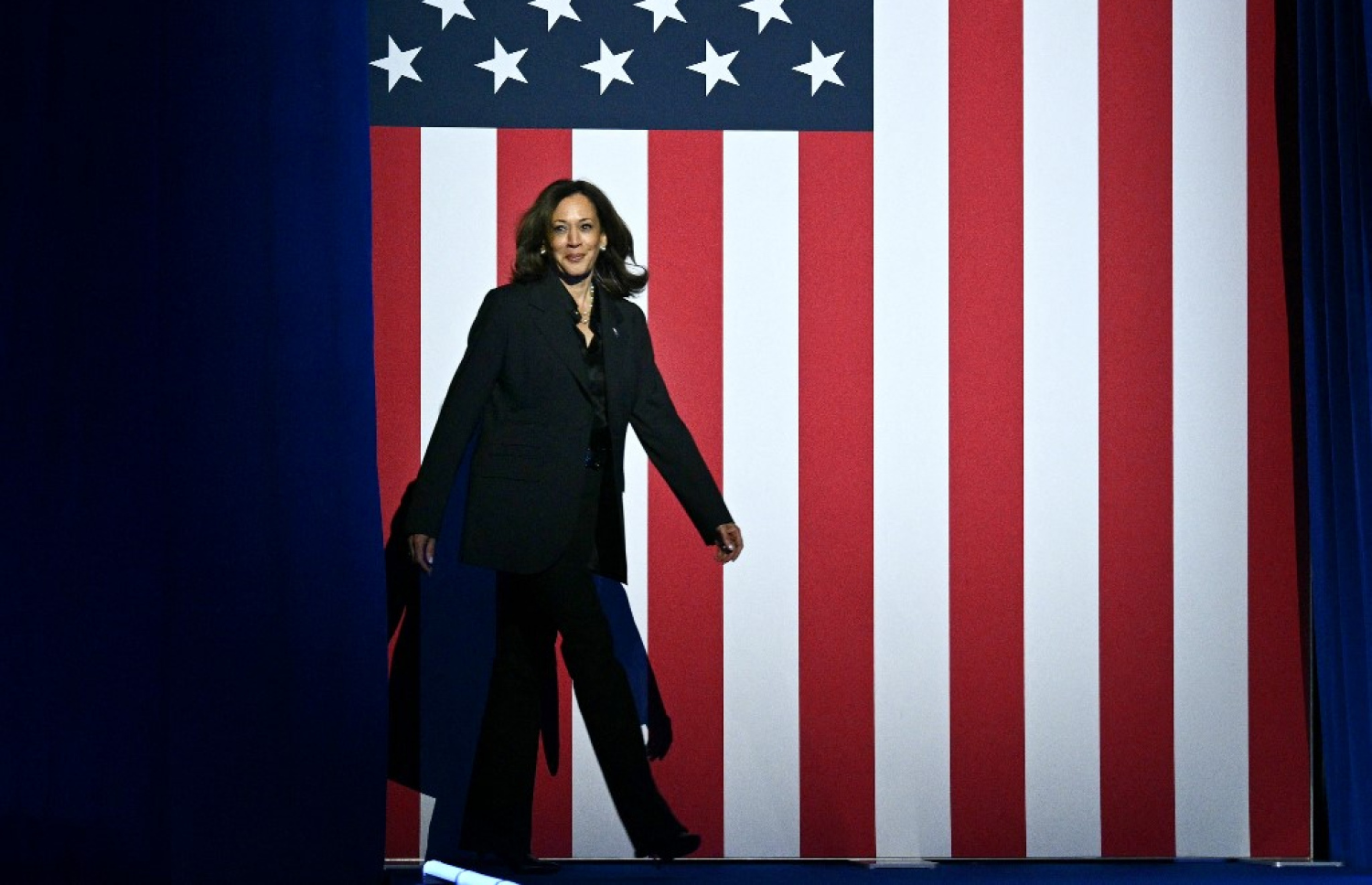 ޑިމޮކްރެޓިކް ޕާޓީގެ ކެންޑިޑޭޓް ނައިބު ރައީސް ކަމަލާ ހެރިސް. -- ފޮޓޯ: އޭއެފްޕީ