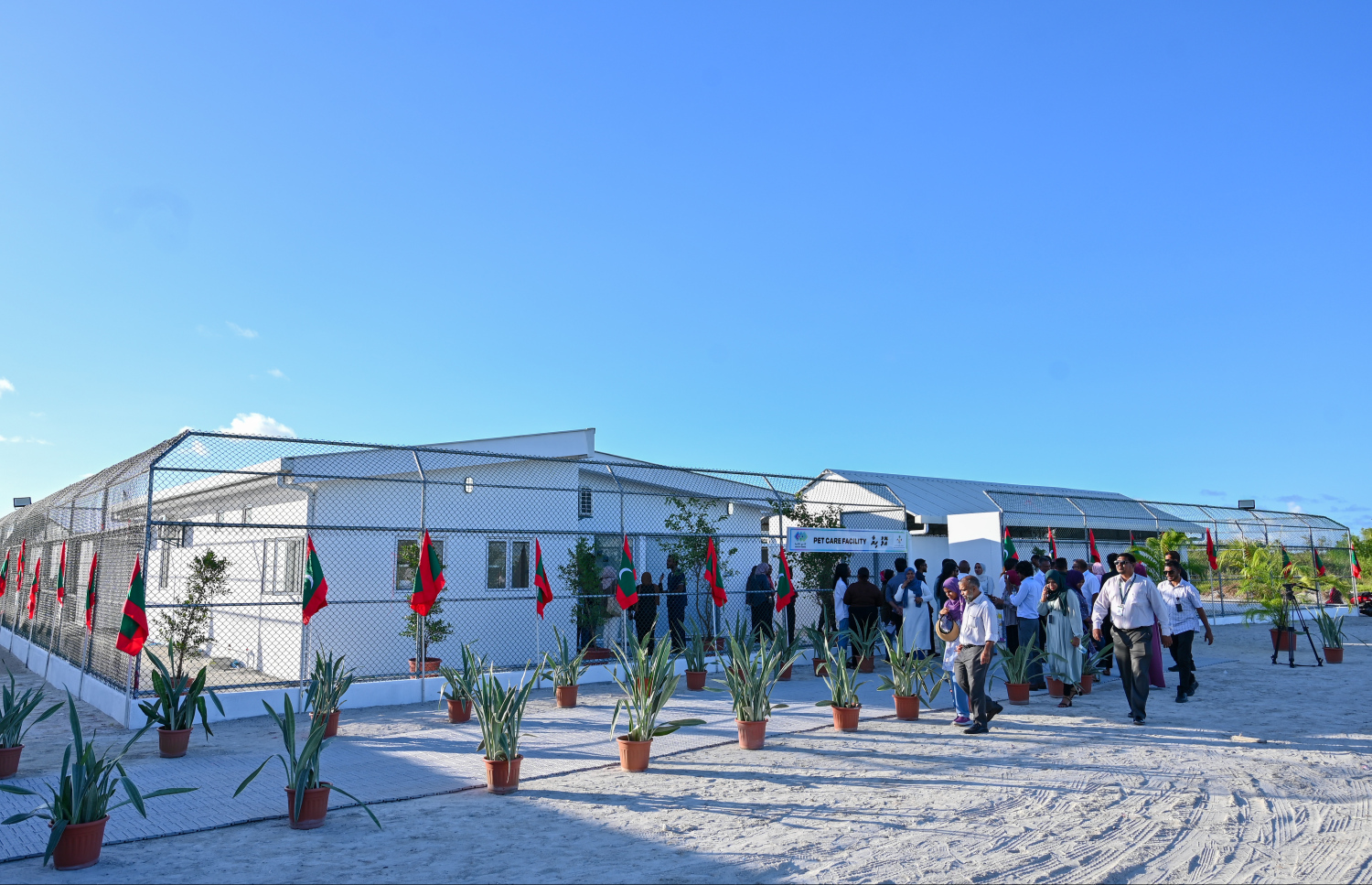 މާލެ ސަރަހައްދުގެ މަގުތަކުގައި އުޅޭ ބުޅާތައް ބަލަހައްޓަން ސަރުކާރުން ހެދި "އޮޅު ހިޔާ": މިތަނުގައި ބުޅާތައް ކަރަންޓީނު ކުރެވޭ ސަރަހައްދަކާއި ކްލިނިކަކާއި ލެބޯޓްރީއެއްގެ އިތުރުން ބުޅަލަށް ދޭންޖެހޭ ބޭސްތައް ހުންނަ ފާމަސީއެއް ވަނީ ގާއިމްކޮށްފައި -- ފޮޓޯ: ފަޔާޒު މޫސާ | މިހާރު