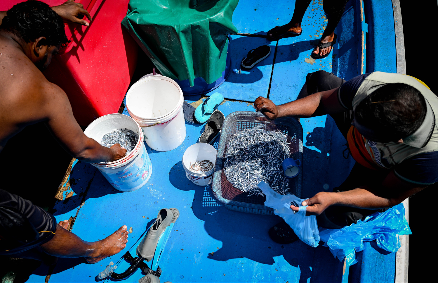 މާރުކޭޓުގައި ވިއްކުމަށްޓަކައި އެން ނަގައި ސާފުކޮށް ކޮތަޅަށް އަޅަނީ. 10ރ އާއި 20ރ ދެމެދުގެ އަގަކަށް ރެހި ޖޯޑެއް ވިއްކާއިރު އެންމެ ގިނައިން ގަންނަނީ ހޮޓާ ތަކުން ކަމަށް އެމީހުން ބުނޭ