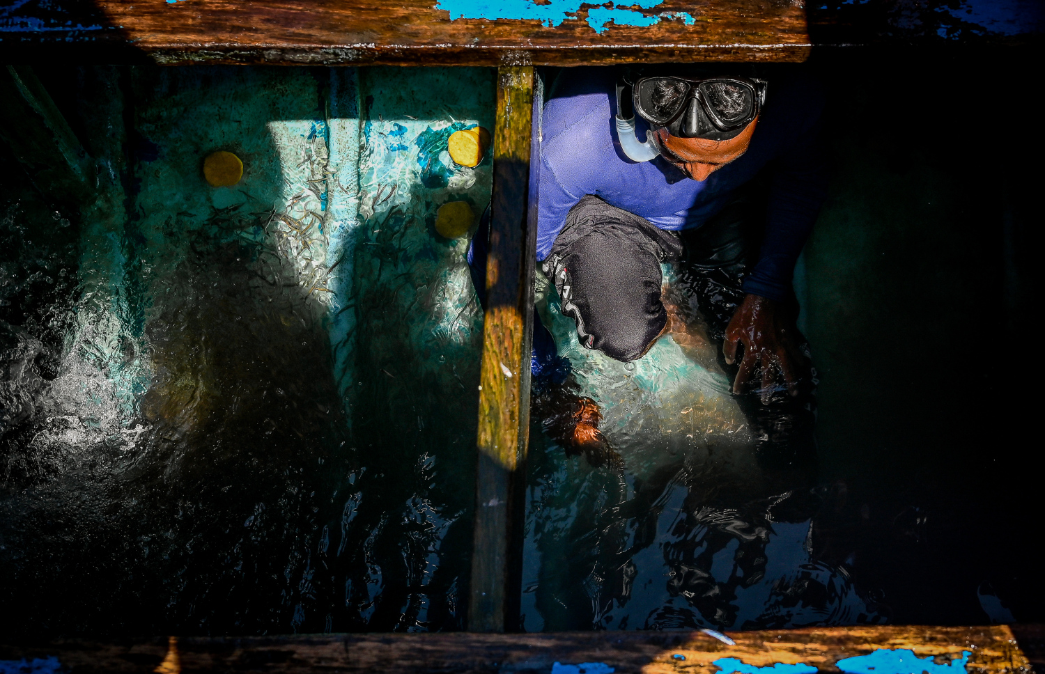 އެންވަތުން ބިދޭސީއަކު އެން ނަގަނީ. އެން ހިފައިގެން ގެނެސް ވިއްކުމަށް ހާއްސަ ދެ ދޯނި މާލޭ މަސްމާރުކޭޓު ކުރިމަތީގައި  އޮވޭ.