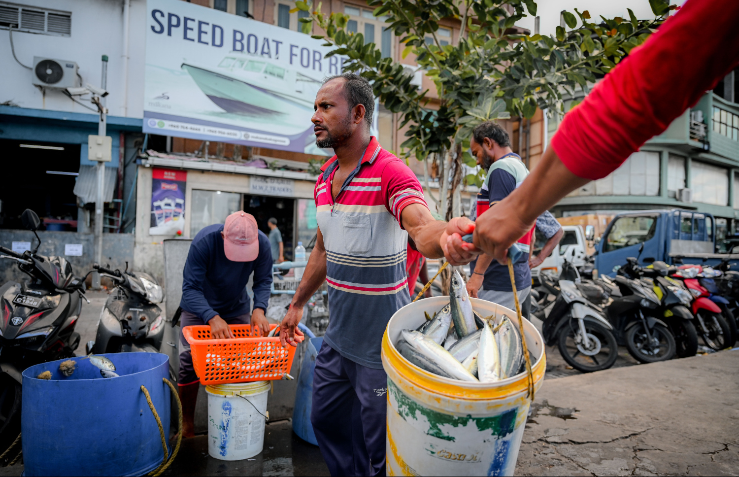 މާރުކޭޓުގައި ވިއްކަން ރިއްމަސްތަކެއް ޓައްޕުތަކަށް އަޅައިގެން ގެންދަނީ. އެއްވެސް ބާވަތެއްގެ އެން ވިޔަފާރީގެ ބޭނުމުގައި، ދާ އަޅައިގެން ހިފުމަކީ މަނާ ކަމެއް.