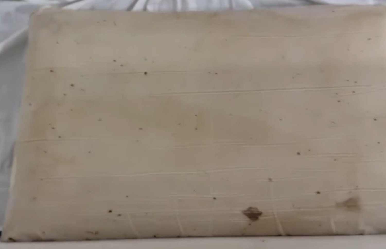 މަރުކަޒުގެ ބާލީސްތަކުގައި ވެސް މަކުނުތައް ދުވަނީ.--