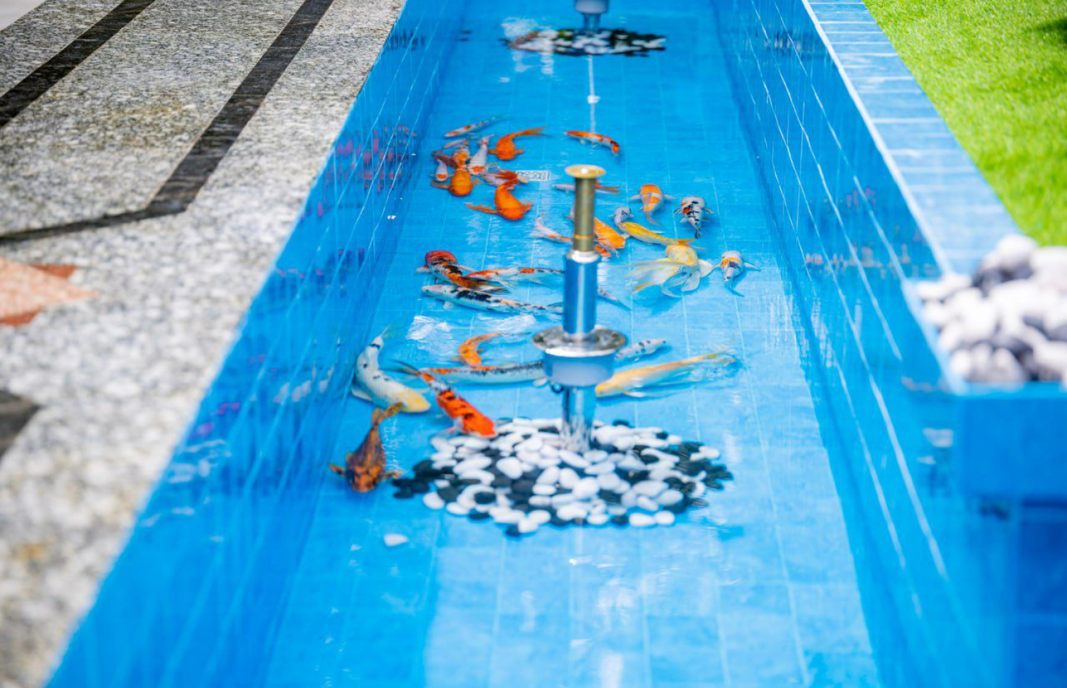 އިސްލާމީ މަރުކަޒު ކައިރީގައި ހަދާފައިވާ މަސްފެންގަނޑު މަރާމާތުކޮށްފައި..-- ފޮޓޯ: އިސްލާމިކް މިނިސްޓްރީ