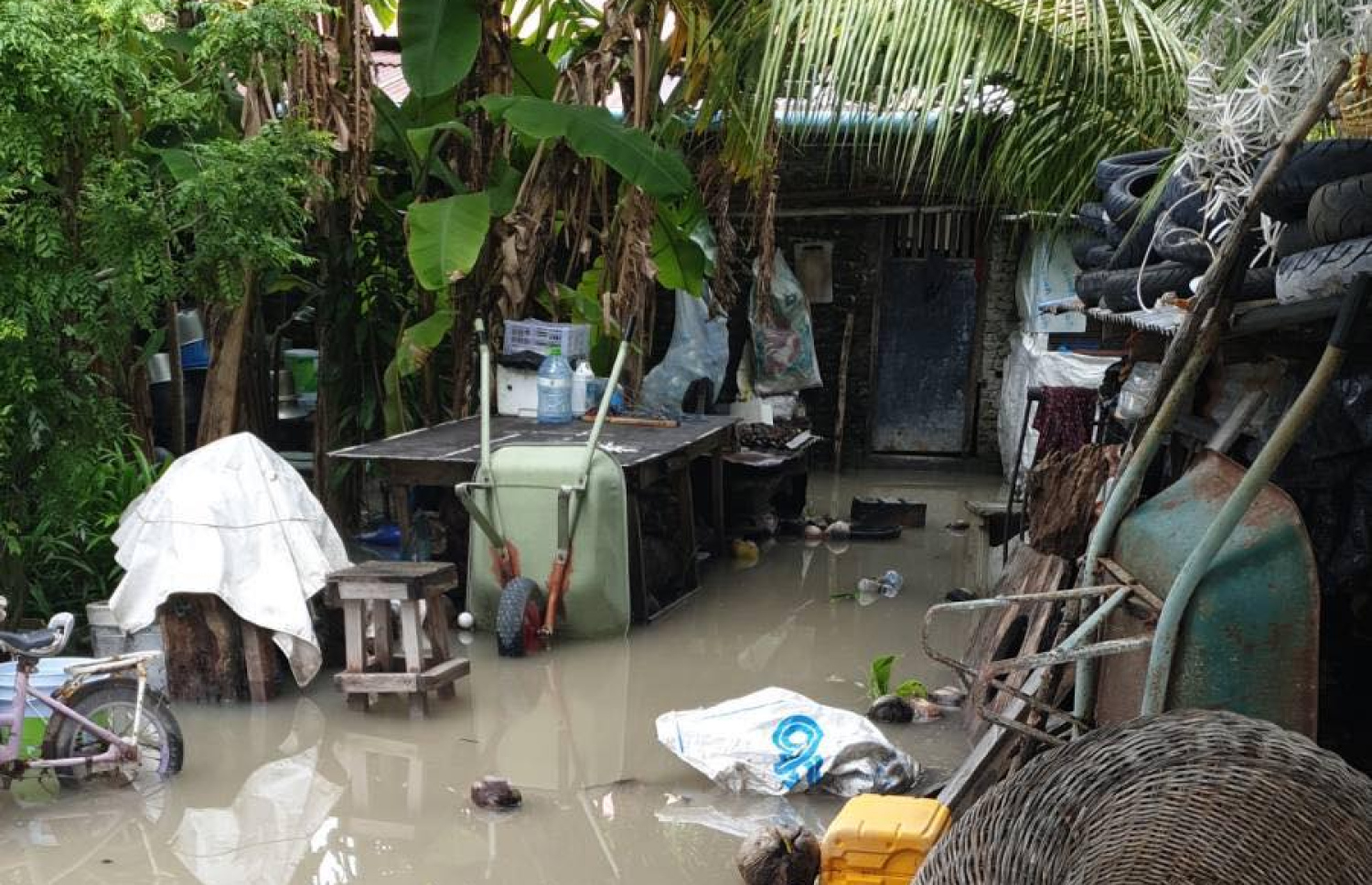 ވިއްސާރާގައި ރަށެއްގެ ގެއެއްގެ ގޯތި ތެރޭގައި ފެން ބޮޑުވެފައި.-- ފޮޓޯ: އެންޑީއެމްއޭ