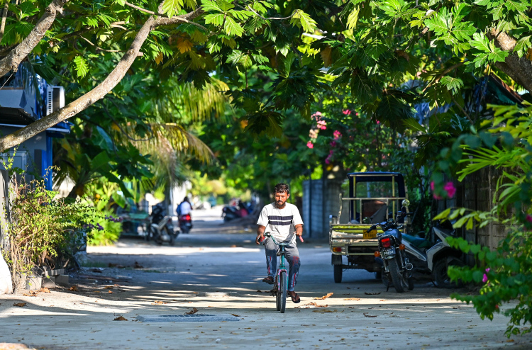 Mashroouthah hingan Rahrashuge bin thah councilun vakikoh sarukaarah negey gothah islaaheh