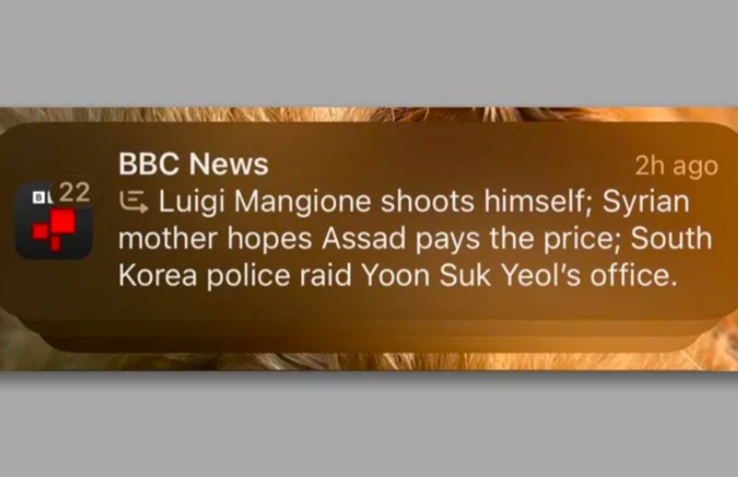 އެޕަލް އިންޓެލިޖެންސުން ޖެނެރޭޓްވި ފޭކް ނިއުސްގެ ނޮޓިފިކޭޝަން