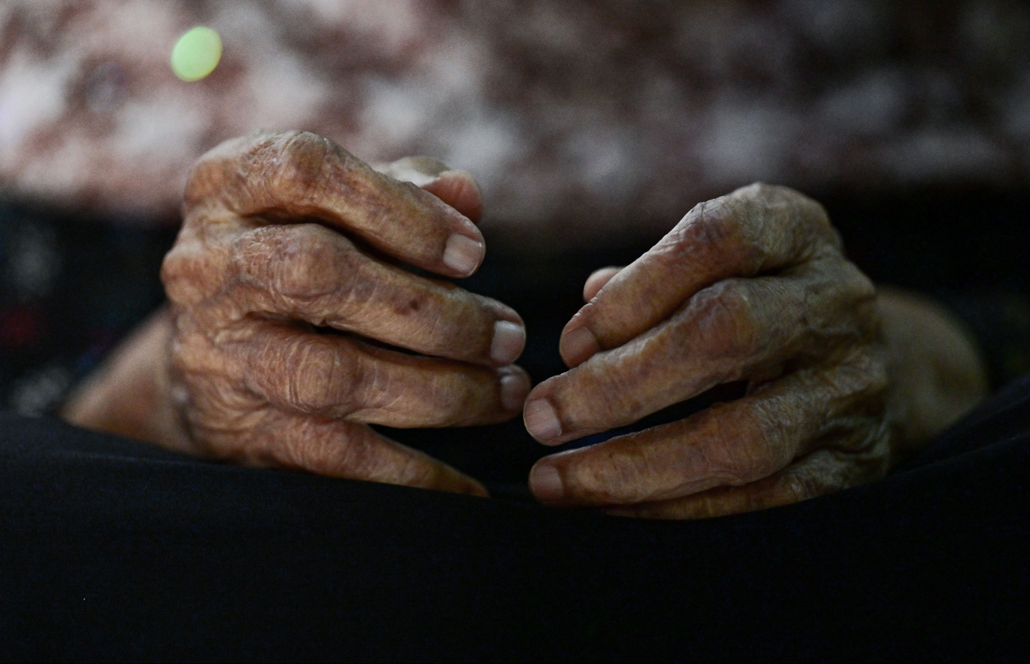 ފާތިމަތު ވާހަކަ ދައްކަމުން ދާއިރު އަމިއްލައަށް އިނގިލިތަކާ ކުޅެނީ: އާއިލާ އިން ލަފާކުރާ ގޮތުގައި އޭނާއަށް މިހާރު 104 އަހަރު ވެދާނެ އެވެ. އަށް ދަރިން ވިހެއިރު، ދުނިޔޭގައި މިހާރު ތިބީ ފަސް ކުދިންނެވެ.