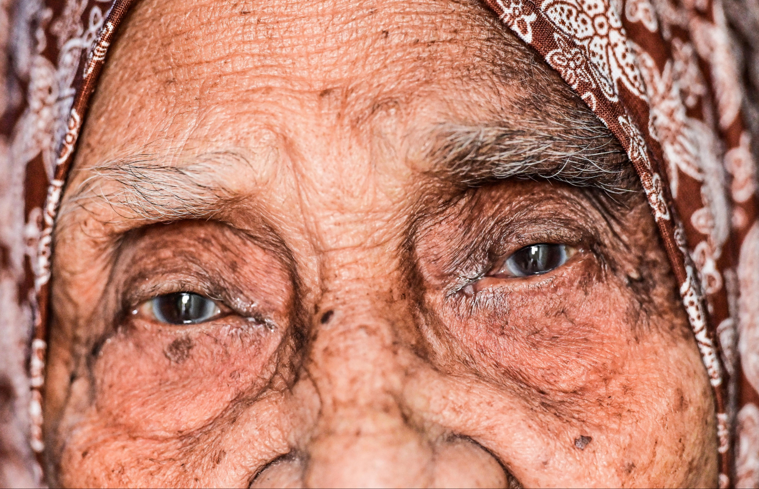 އައިޑީކާޑުގައިވާ ގޮތުން ފާތުމަތުގެ އުމުރަކީ 90 އަހަރެވެ. އެކަމަކު، އެއަށް ވުރެ އޭނާ ދޮށިވާނެ ކަން އާއިލާއަށް ޔަގީނެވެ. މިފަހުން، އޭނާގެ 80 އަހަރުގެ އަންހެން ދަރިއަކު ނިޔާވެއްޖެ އެވެ. އެންމެ ހަގު ދަރިފުޅަށް ވެސް 50 އަހަރު ވެއްޖެ އެވެ. އެހެންވެ އާއިލާއަށް ކަށަވަރުވާ ގޮތުގައި މަންމަގެ އުމުރު މިހާރު 100 އަހަރަށް ވުރެން މަތިވާނެ އެވެ.