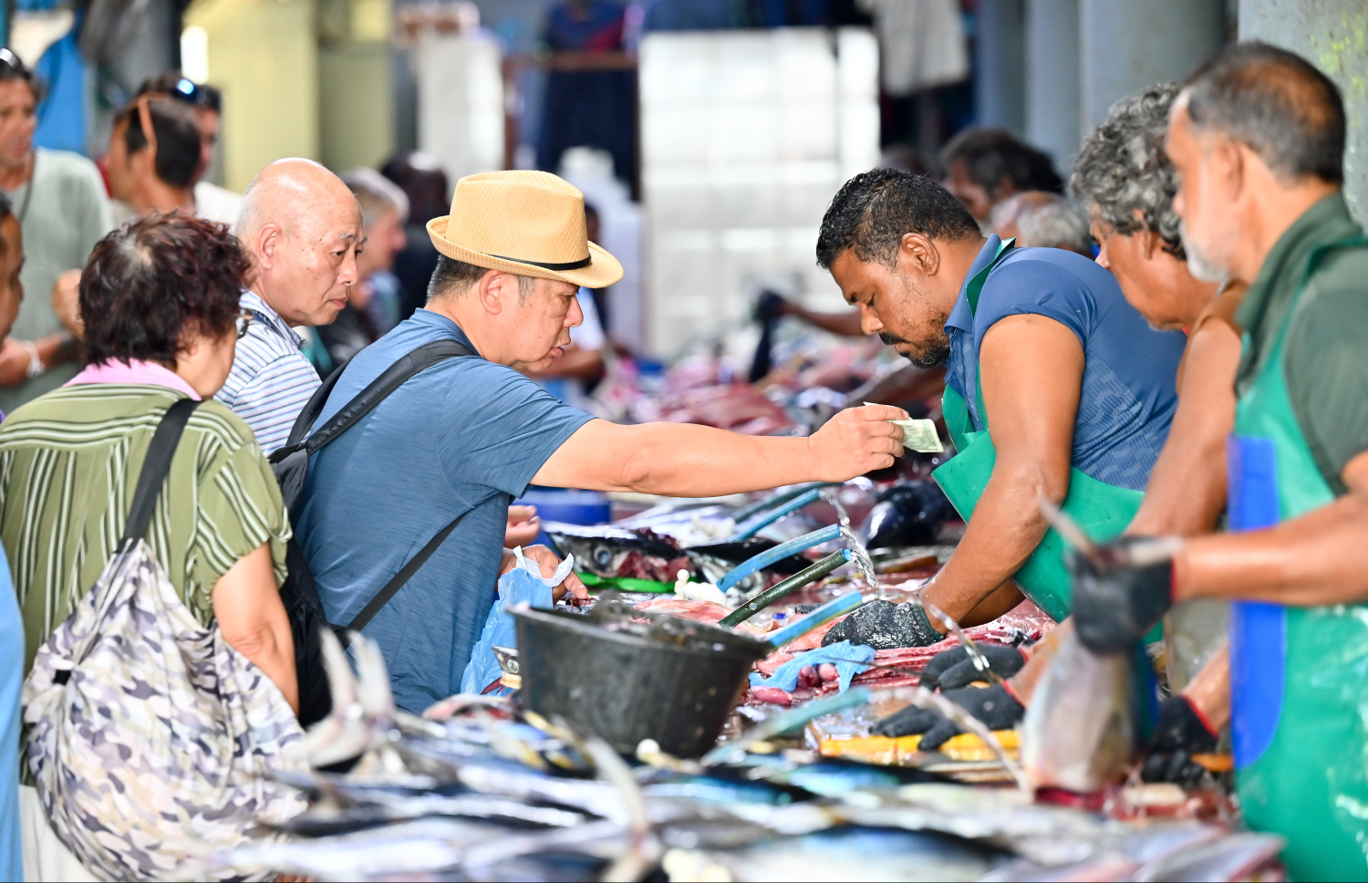 ކްރޫޒްލައިނާތަކުން މާލެ އަށް ފޭބި ބައެއް ޓޫރިސްޓުންތަކެއް އެކްސްކާޝަންގެ ތެރެއިން މަސް މާރުކޭޓަށް ގޮސް މަސް ކަނޑާ މީހަކަށް ފައިސާ ދެނީ.--- ފޮޓޯ: ނިޝާން އަލީ | މިހާރު