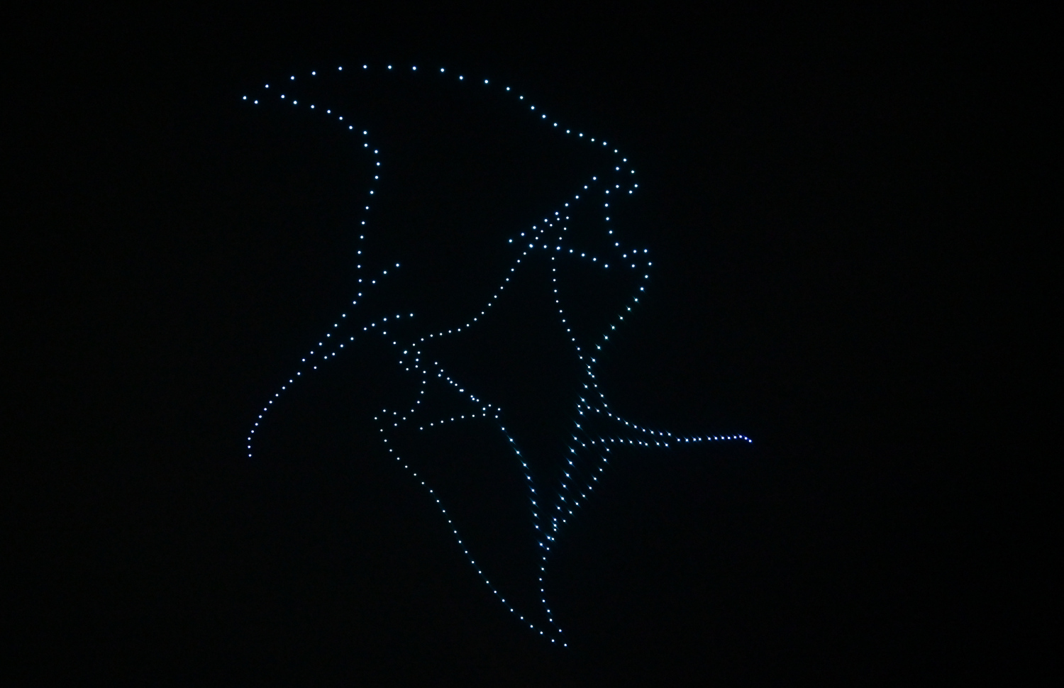 ރާއްޖެ އިން 2025 ވަނަ އަހަރަށް މަރުހަބާ ކިޔަން ބޭއްވި ފެސްޓިވަލްގައި ޑްރޯން ޝޯގެ ހަރަކާތްތައް ދައްކާލަނީ.-- ފޮޓޯ: ނިޝާން އަލީ/ މިހާރު