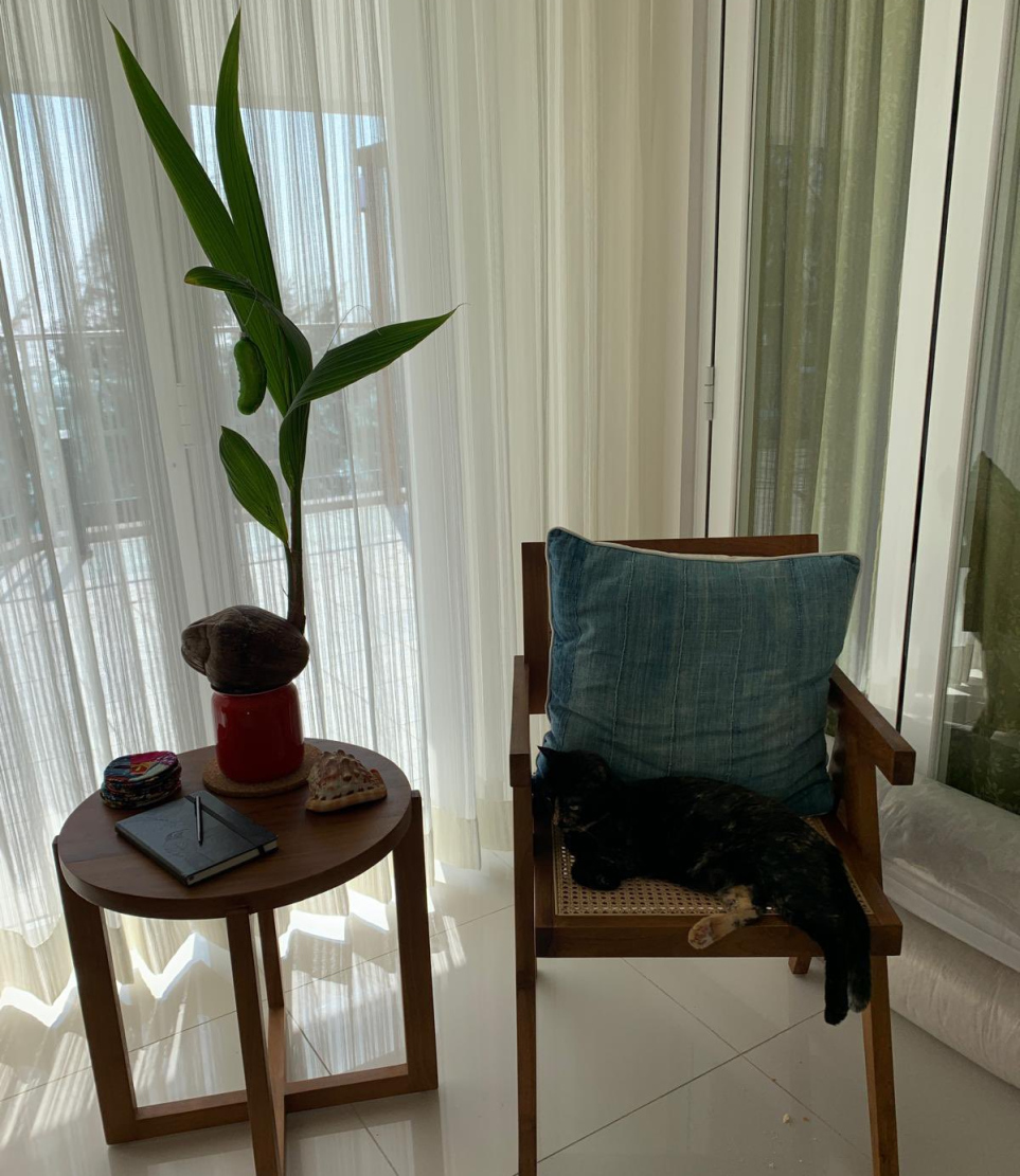 އިނގިރޭސި ސަފީރު ކެރޮން ގޭގައި ބޮޑުކުރި ރުއް.-- ފޮޓޯ: ކެރޮން / އެކްސް