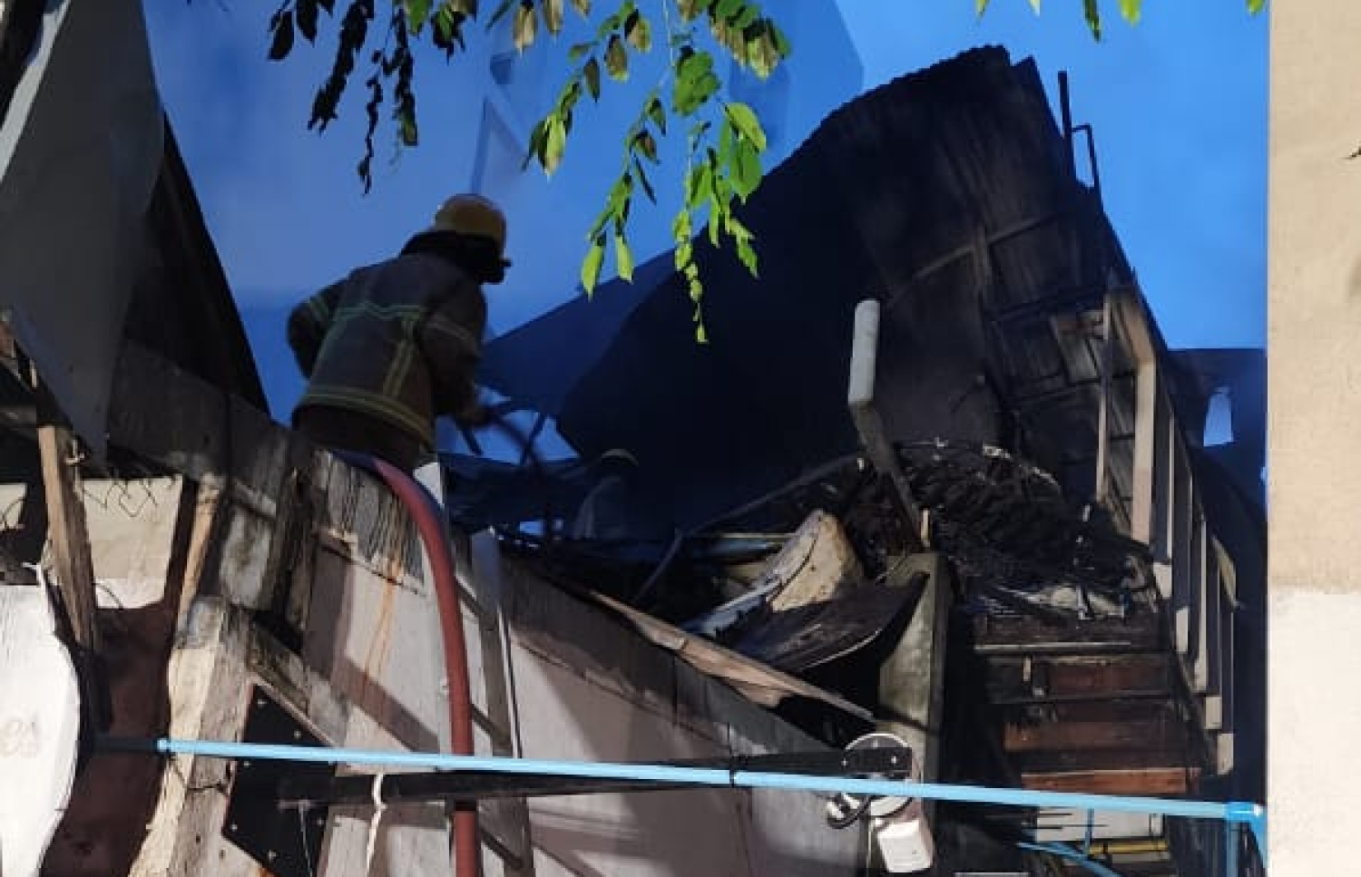 ފްރުޓް ޓްރީ ގުދަނުގައި ރޯވި އަލިފާންގަނޑު ނިއްވާލުމަށް ސިފައިން ހަރަކާތްތެރި ވަނީ.-- ފޮޓޯ: އެމްއެންޑީއެފް