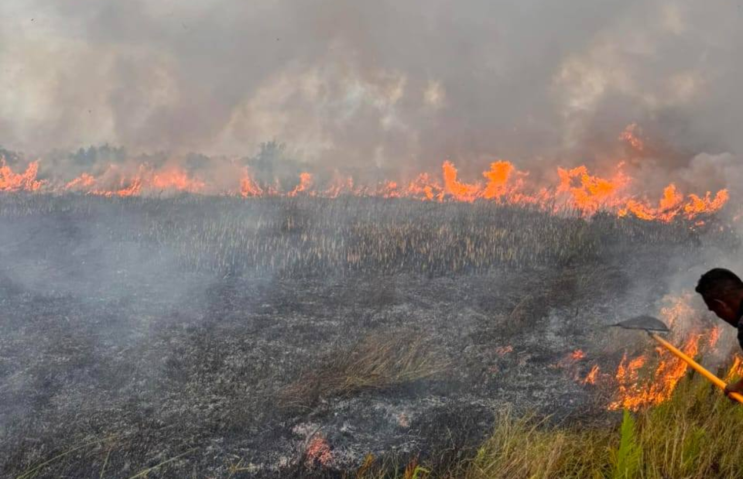 މަތިކިޅި ޗަސްބިމުގައި ރޯވި އަލިފާންގަނޑު ކޮންޓްރޯލްކުރަން ސިފައިން މަސައްކަތް ކުރަނީ --