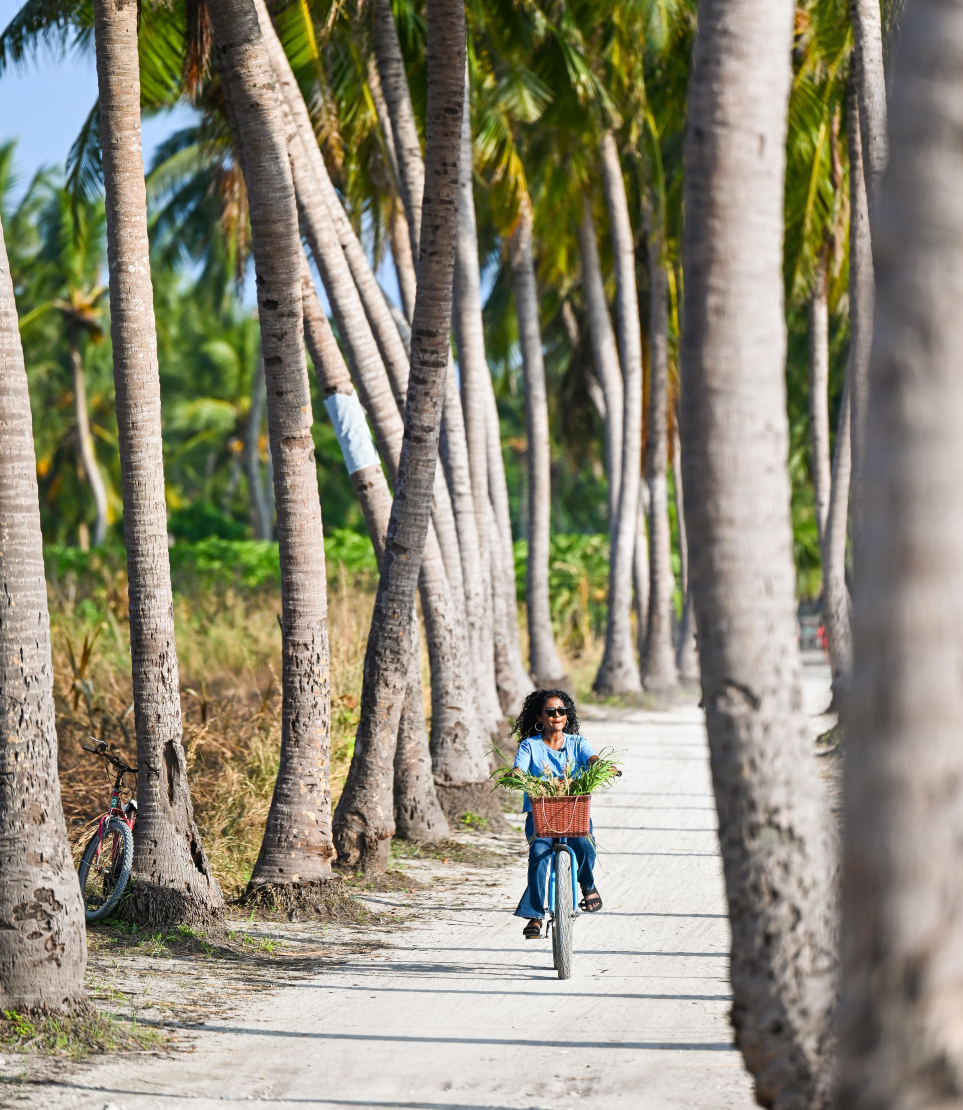 ފެޒޫ ތޮއްޑޫގައި.